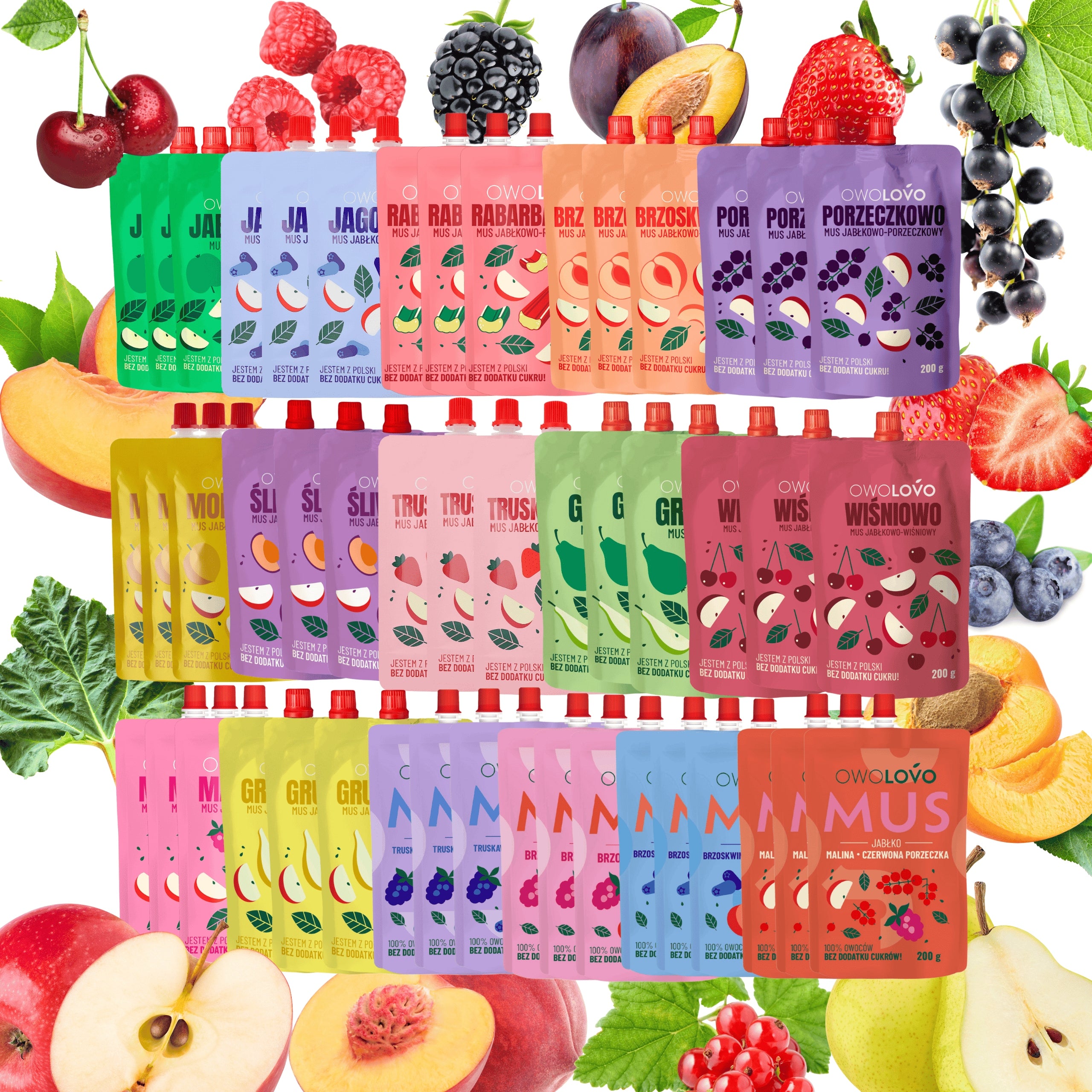 Mix of mousses OWOLOVO 16 flavors for children and adults 48 x 200g