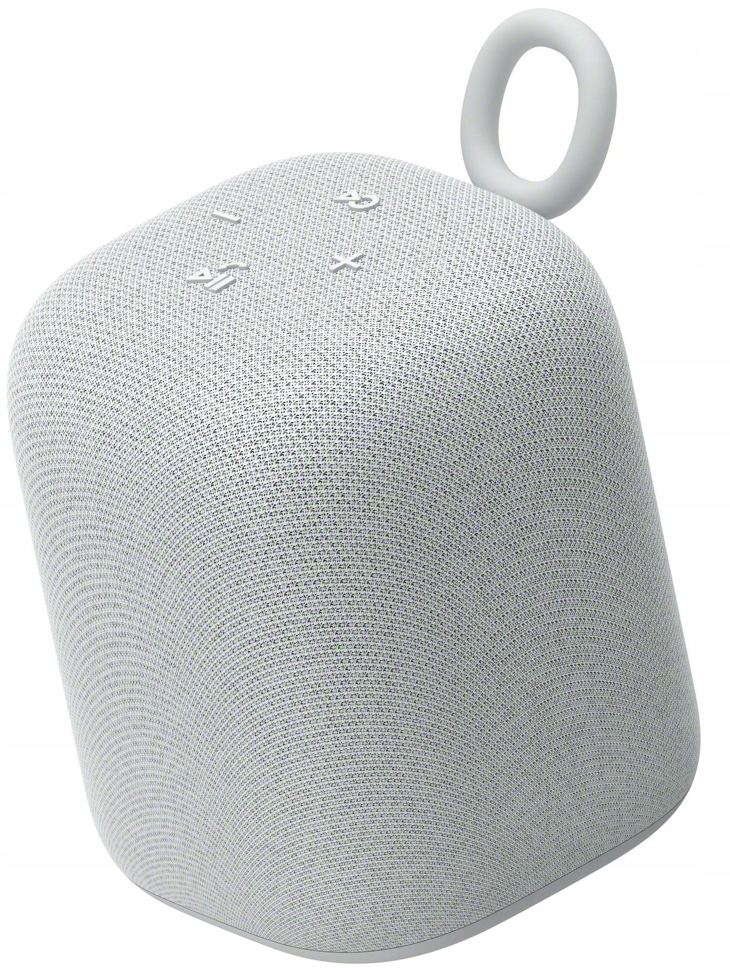 Mobile speaker SONY LinkBuds LS1 Grey Model SRS-LS1