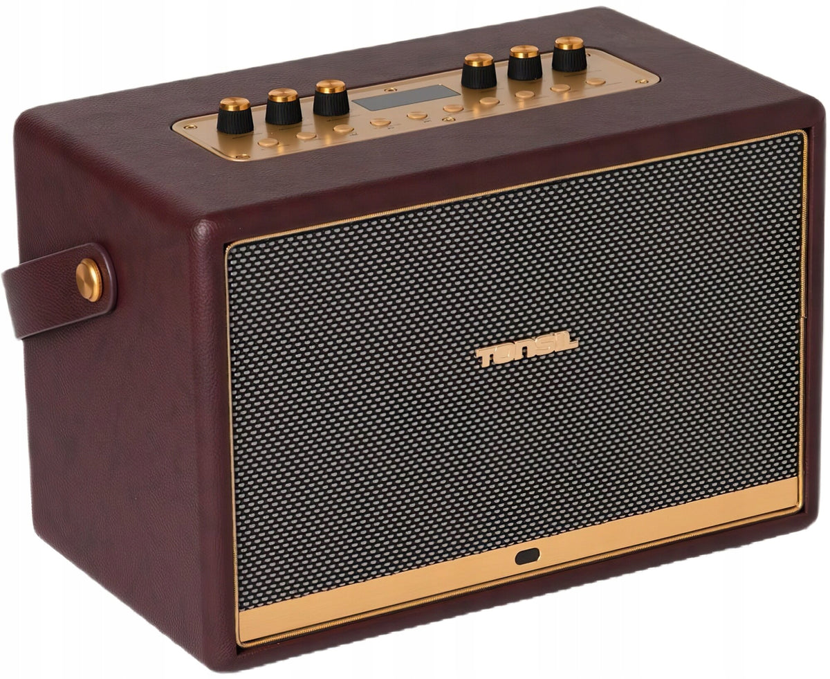 Mobile speaker TONSIL Magna 100W Burgundy Power supply rechargeable battery