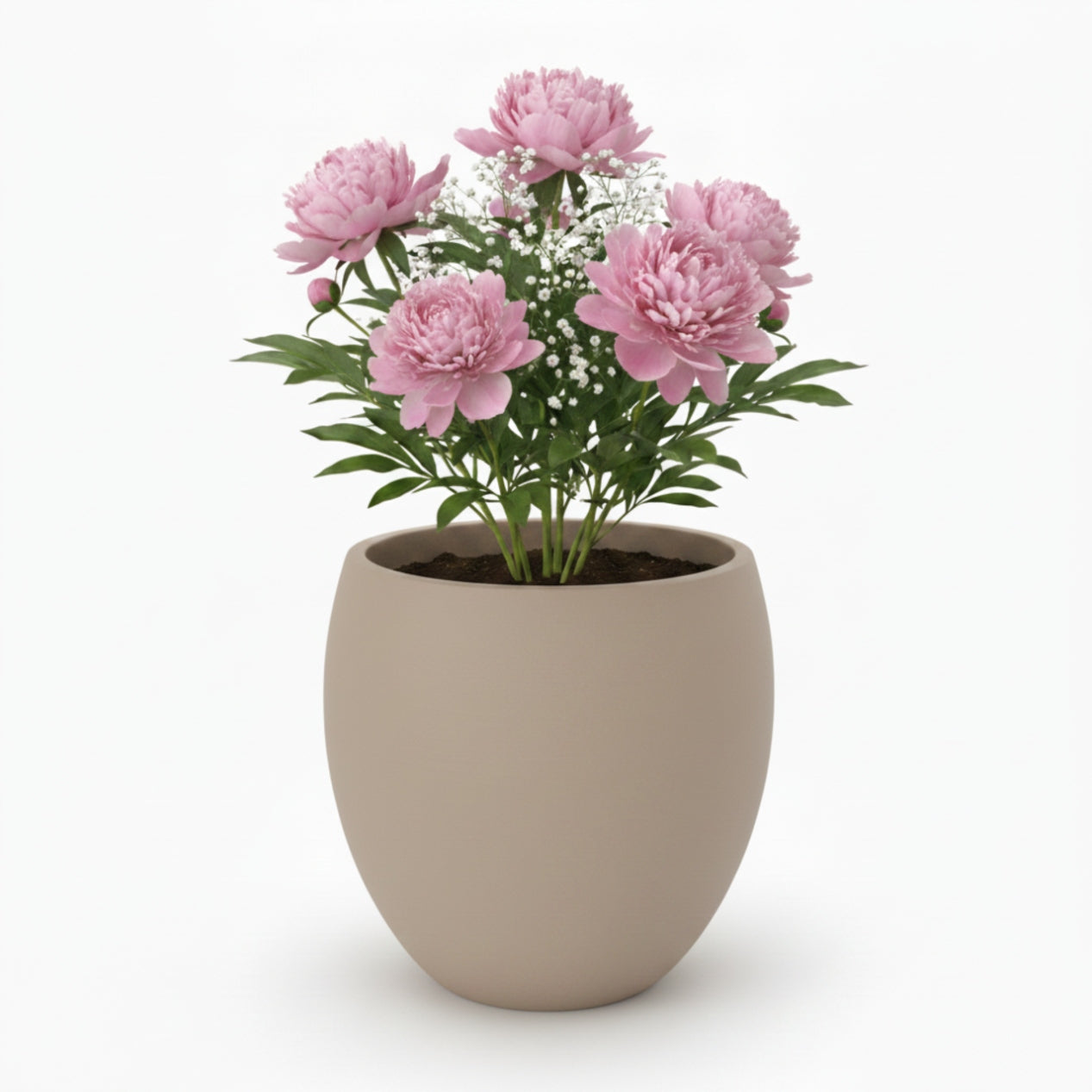 Modern Large Planter Beige for Home and Office Packaging status original