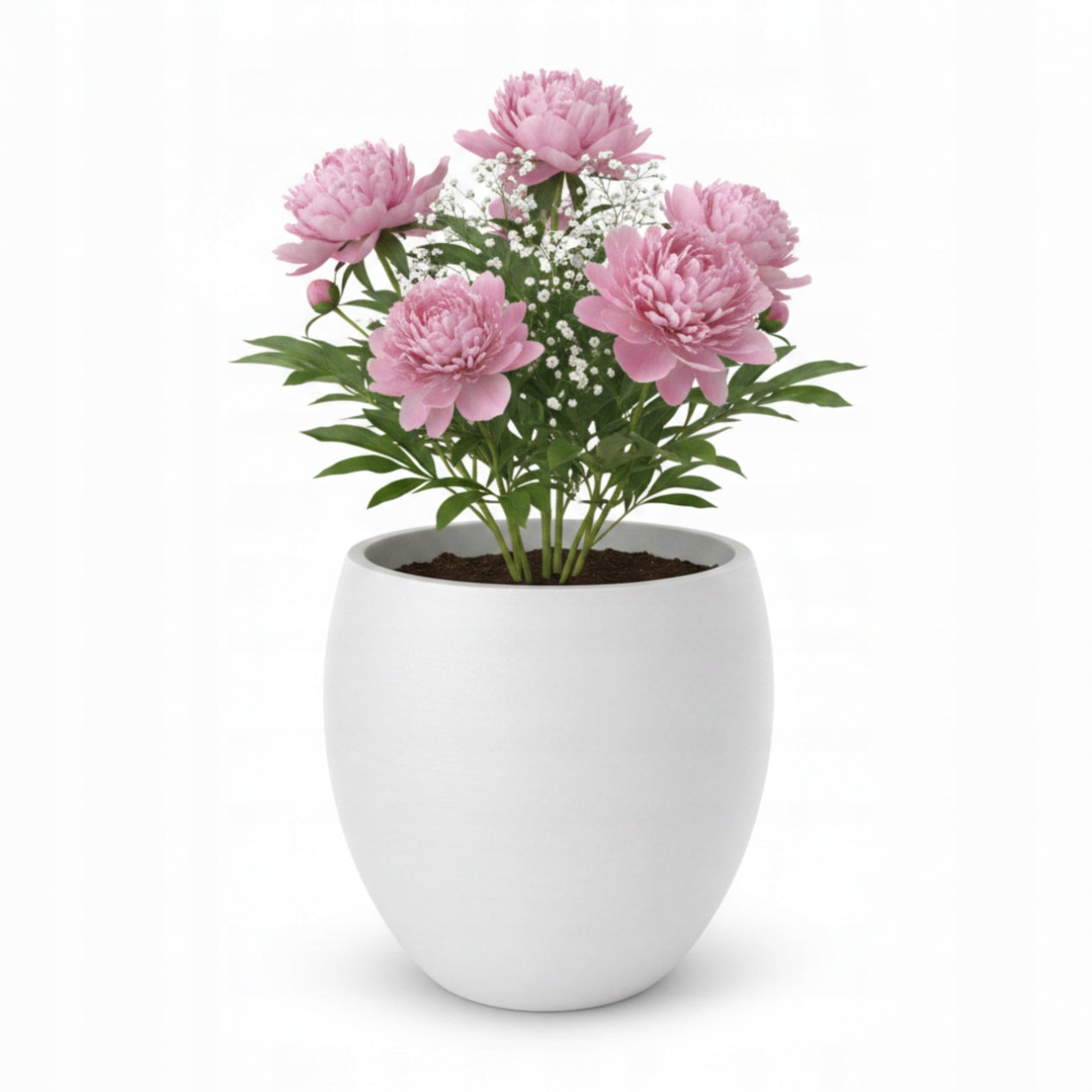 Modern Large Planter White for Home and Office Packaging status original