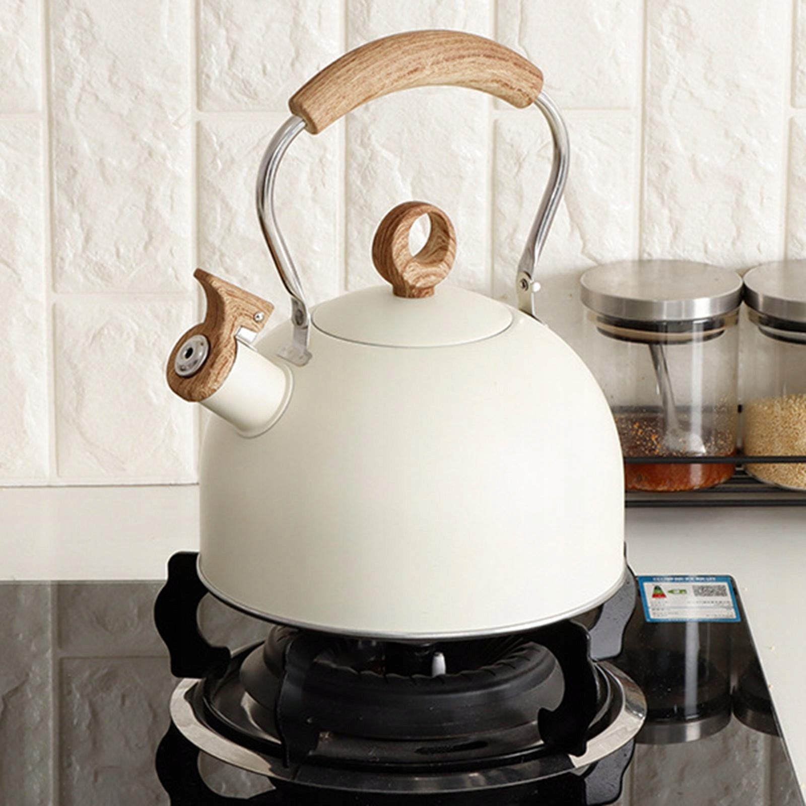 Modern Stainless Steel Tea Kettle Cooker Teapot for Camping Beige white Brand no brand