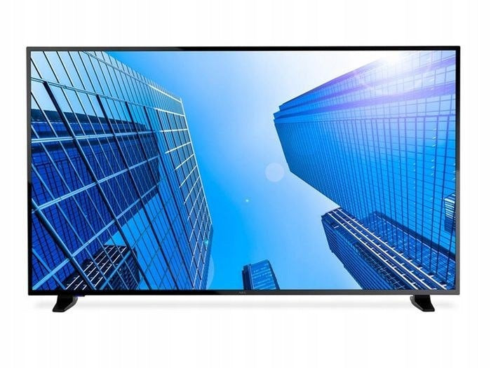 Monitor NEC 60005045 (43" /IPS /60Hz /3840 × 2160 /Black )
