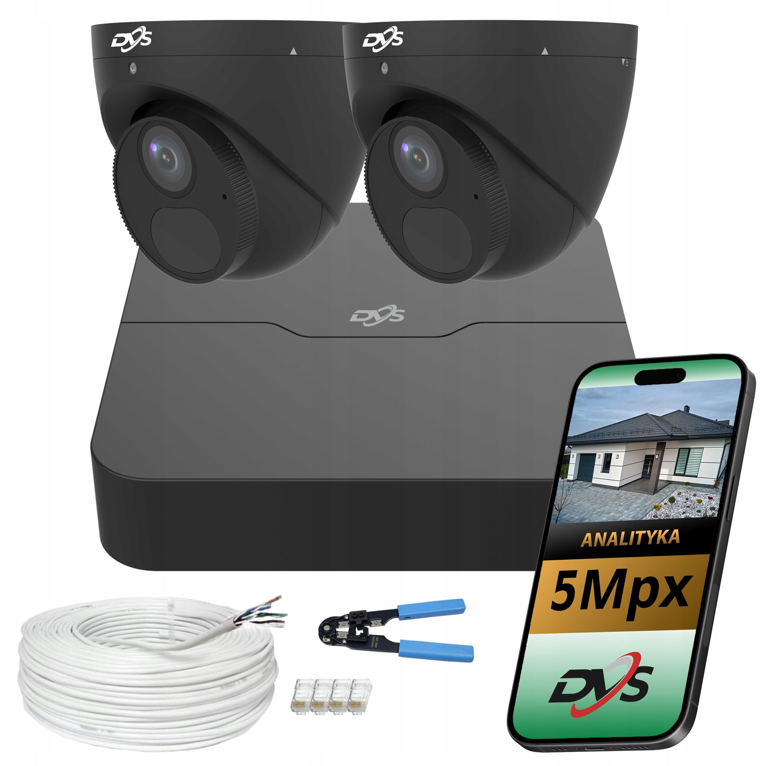 Monitoring kit 2 dome cameras black IP PoE 5Mpx microphone garden DVS