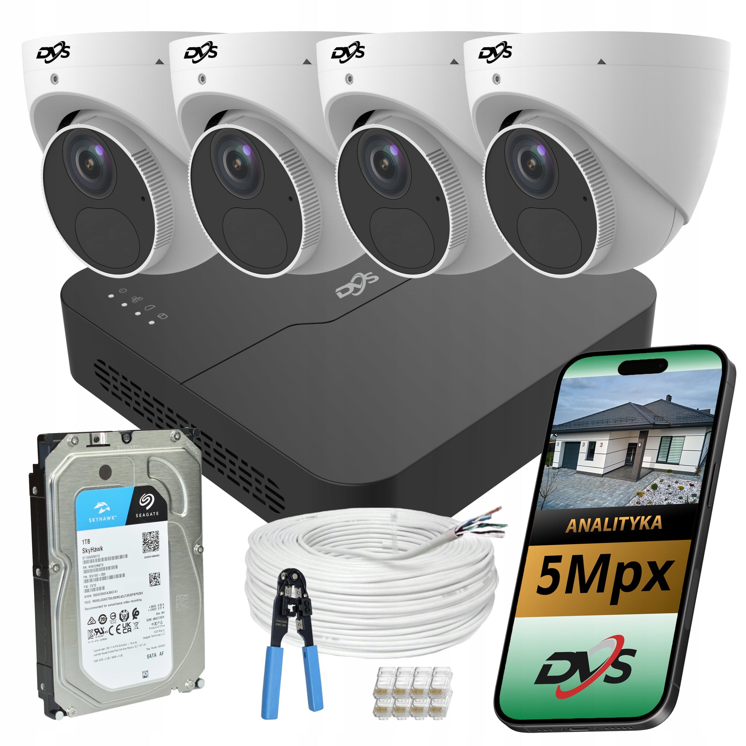Monitoring kit 4 dome cameras IP PoE 5Mpx disk 1TB company shop DVS