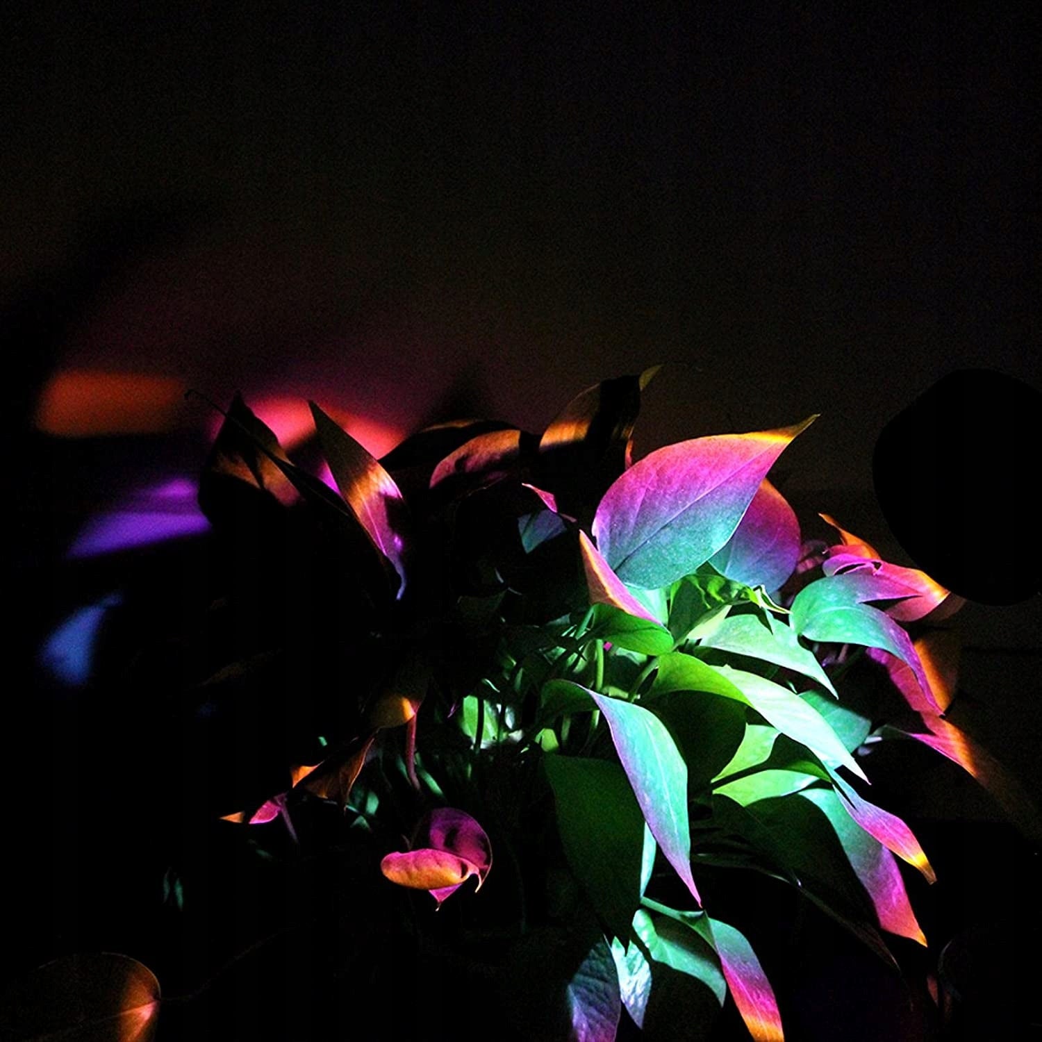 Moody night light rainbow projector lamp with Brand no brand