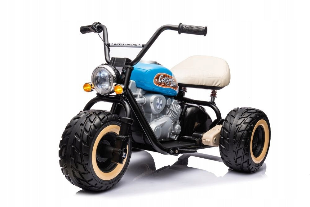 Motorcycle For Tricycle LL6688 Blue 24V Packaging status original