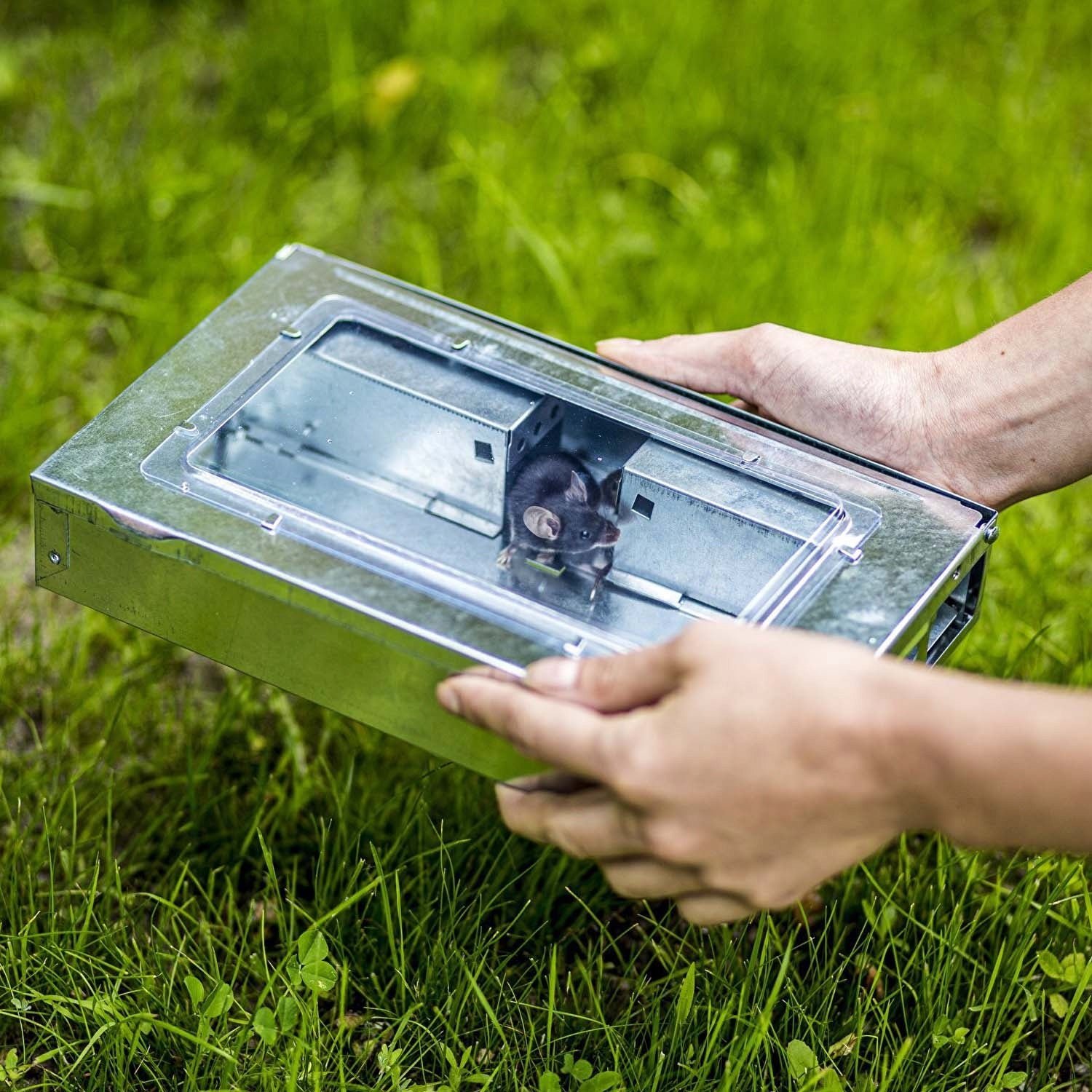 Mouse Trap Rats Rodents Paw Hedgehog Humane Mousetrap Manufacturer code Domowa odstraszacz gryzoni człapka straszak