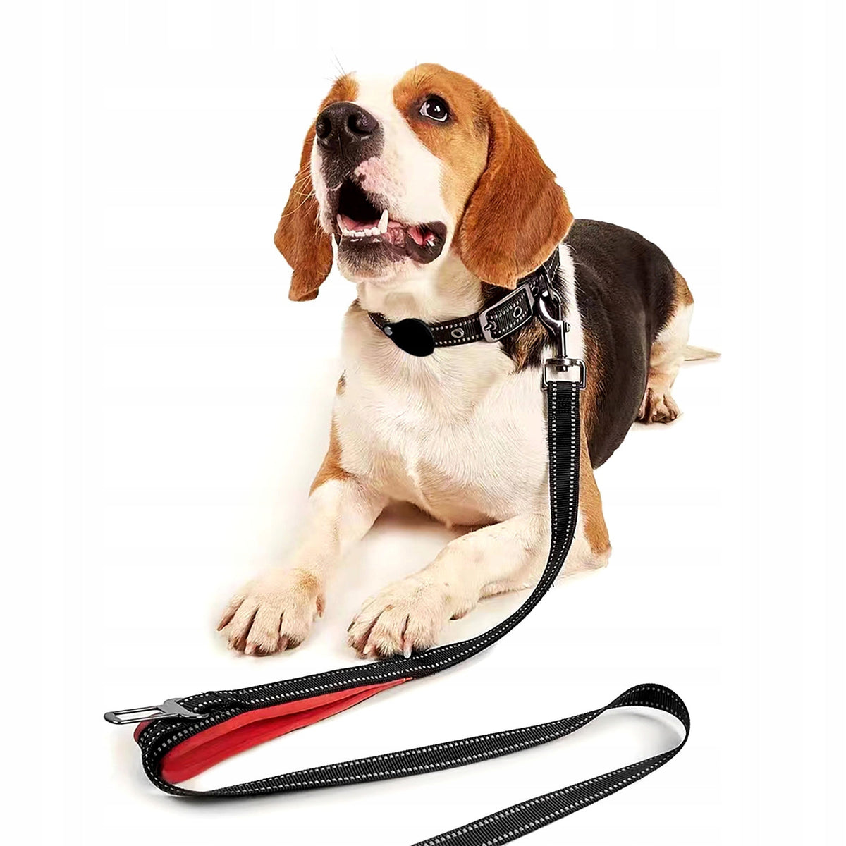 Mozos DL5M training leash 5 m with double handle Packaging status original