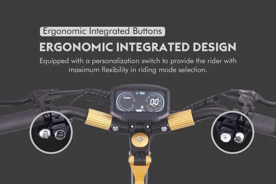 Mukuta 9 Plus black and gold electric scooter with removable battery 1600W Model MUKUTA 10