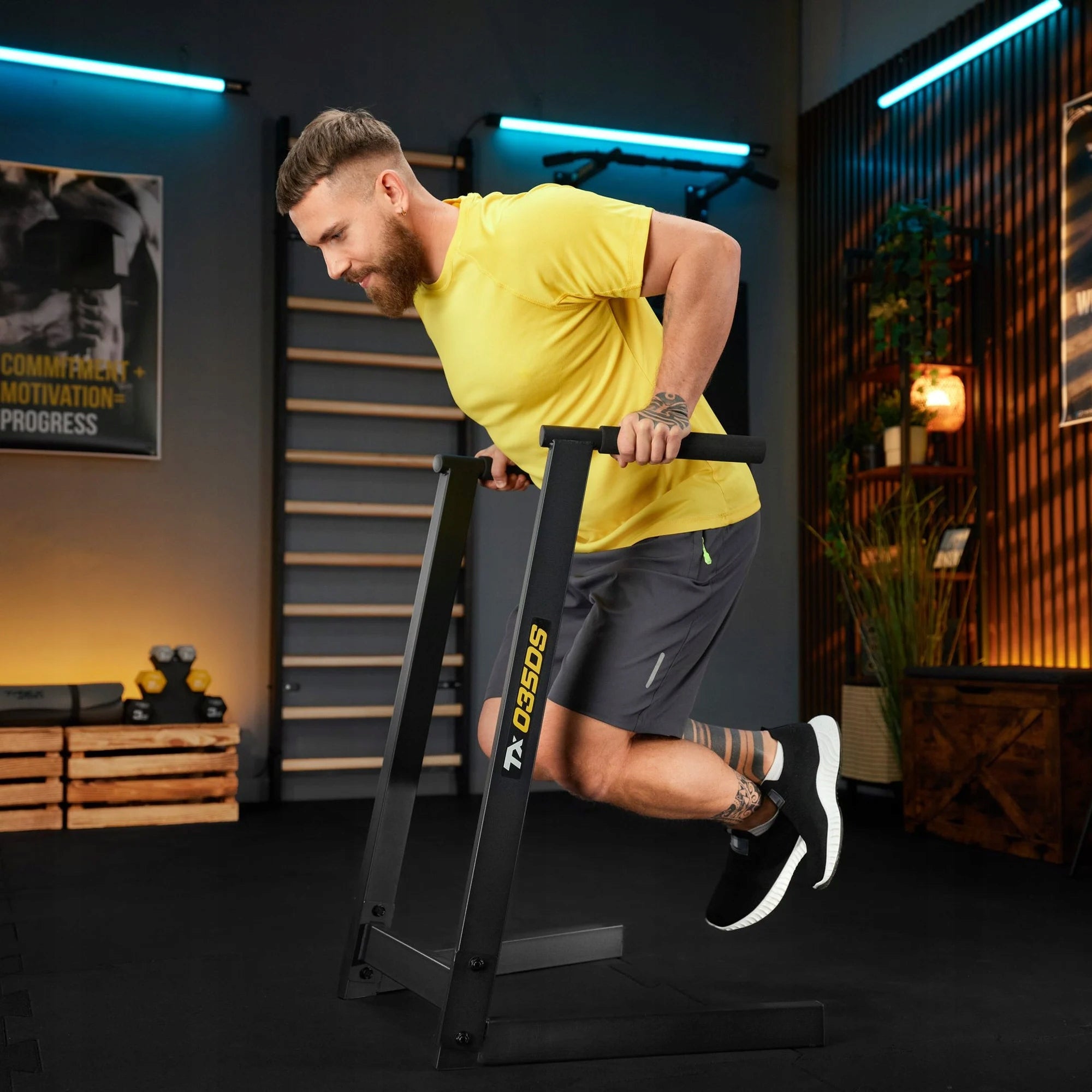 Multifunction training dip handrails for abdominal exercises Trex Sport Kind parallel bars