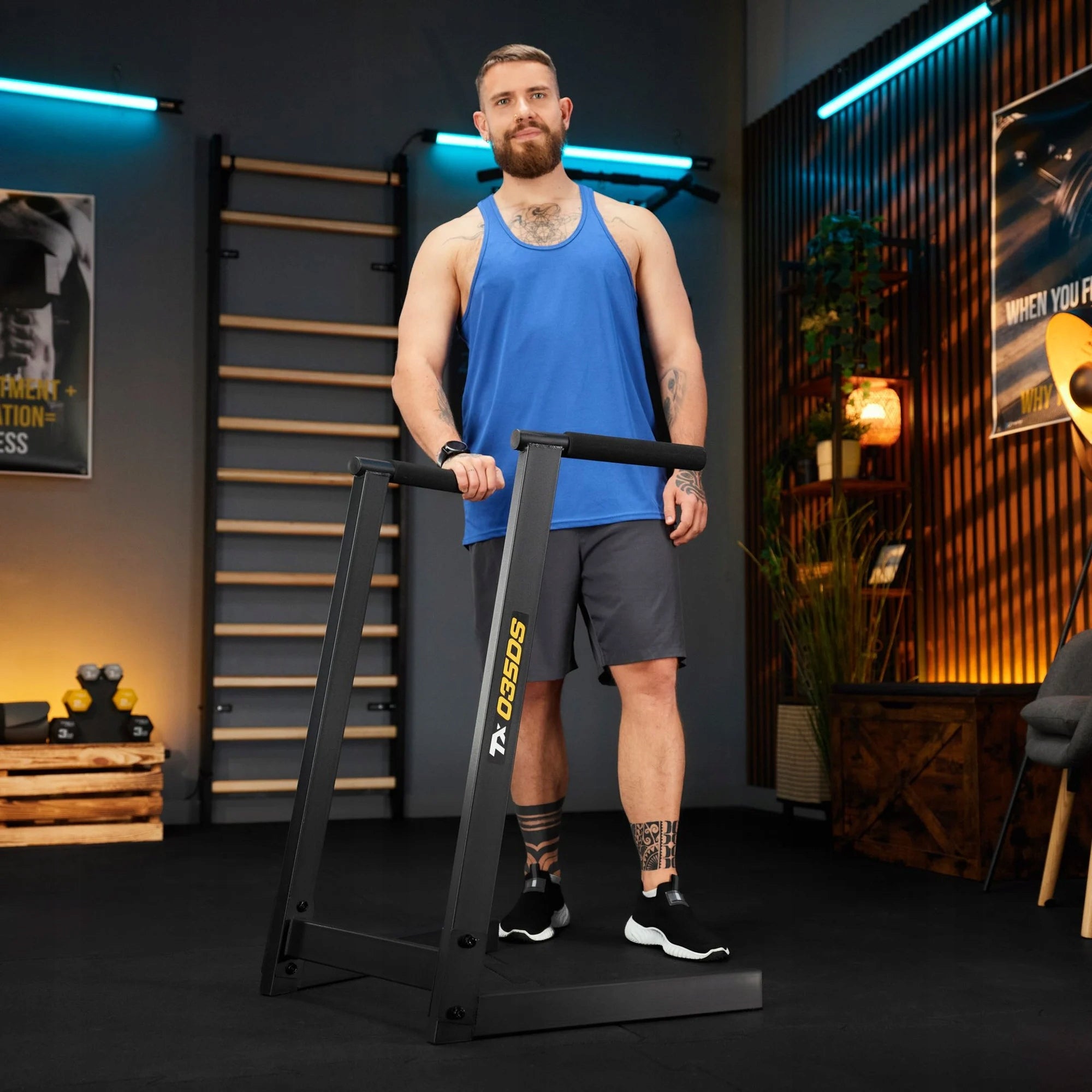 Multifunction training dip handrails for abdominal exercises Trex Sport Manufacturer code TX-035DS