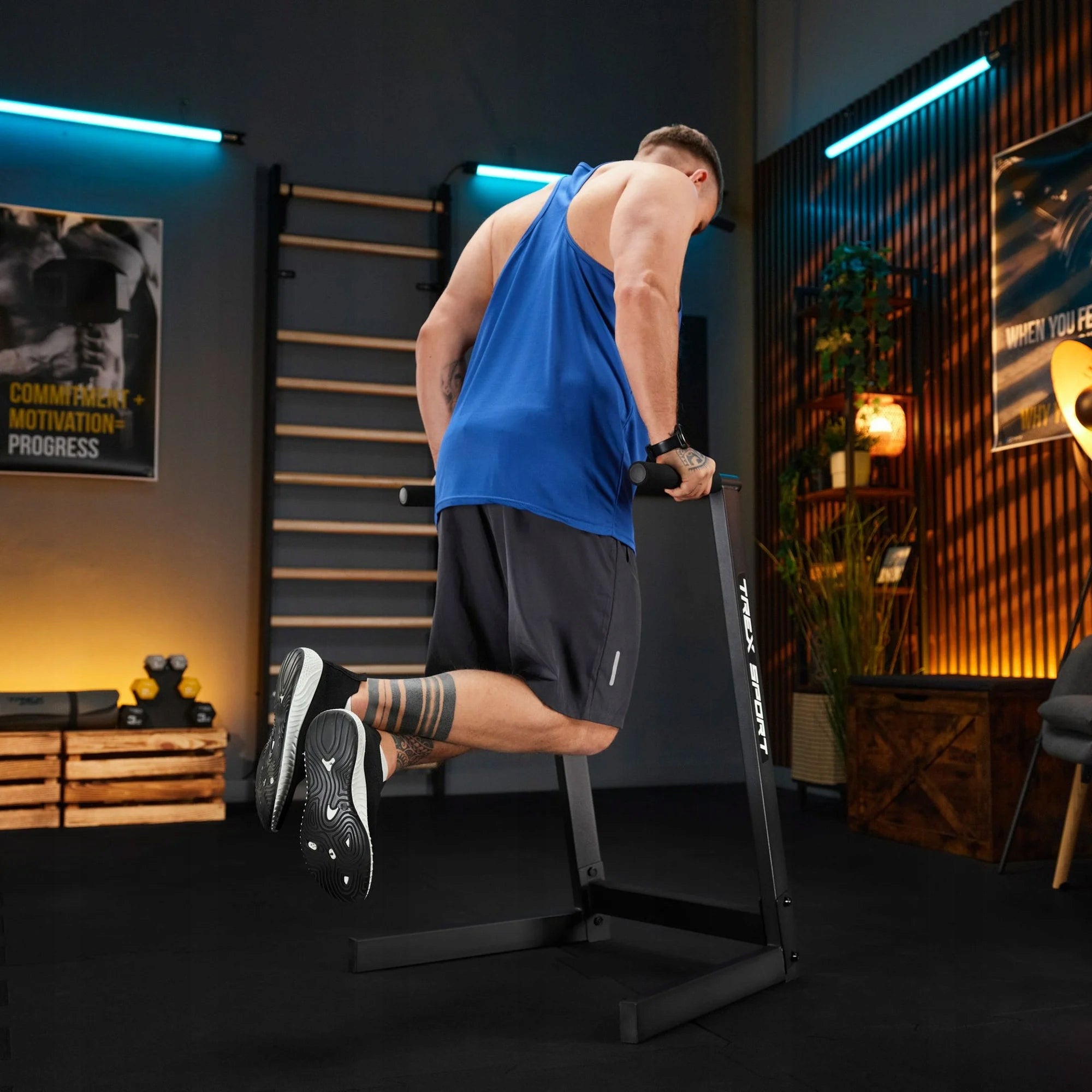 Multifunction training dip handrails for abdominal exercises Trex Sport Maximum user weight 150 kg