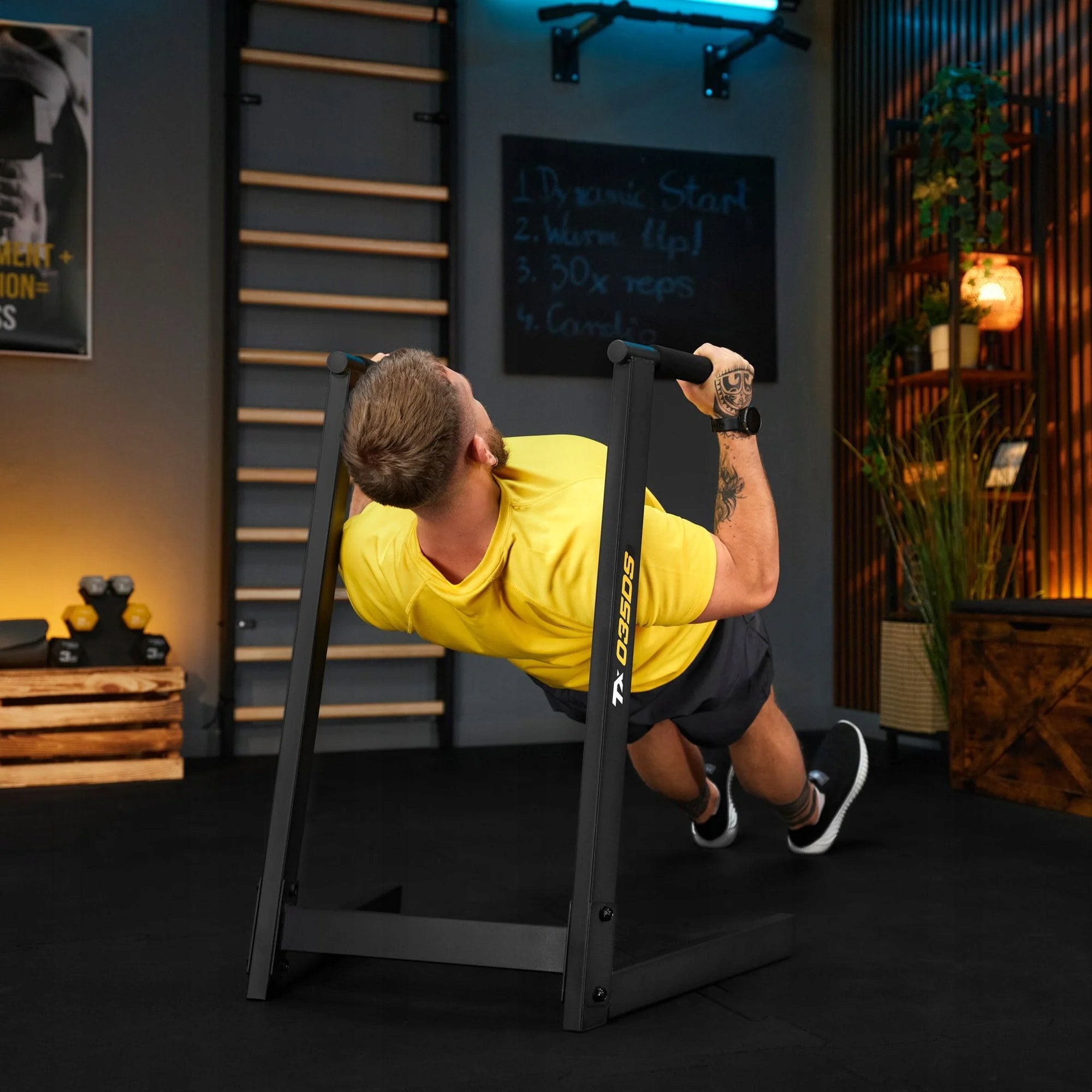 Multifunction training dip handrails for abdominal exercises Trex Sport Model TX-035DS