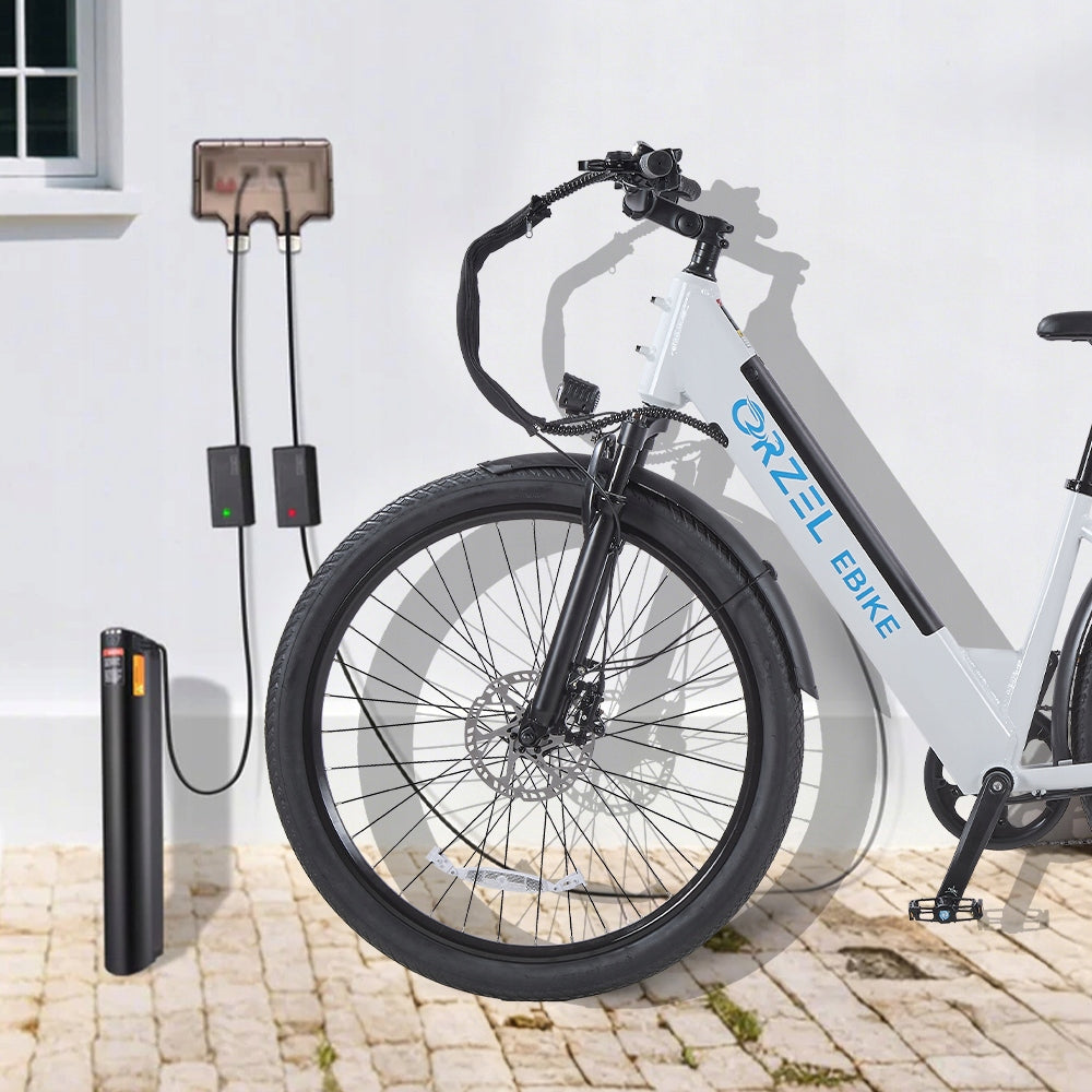 Municipal Electric Vehicles ORZEL C29 250W 48V 20Ah 25KM/H 120KM 29"*2.25" User height 158–200 cm