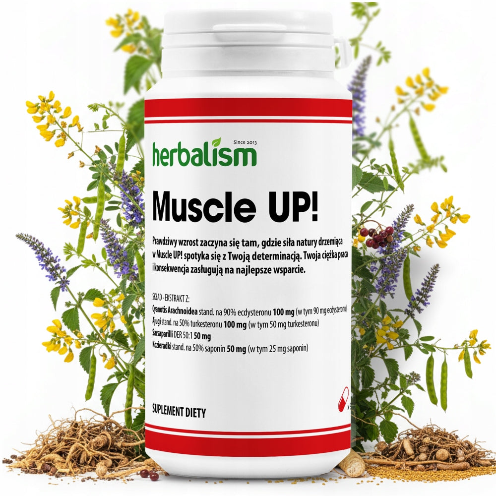 Muscle UP! STRENGTH - MUSCLES - MASS