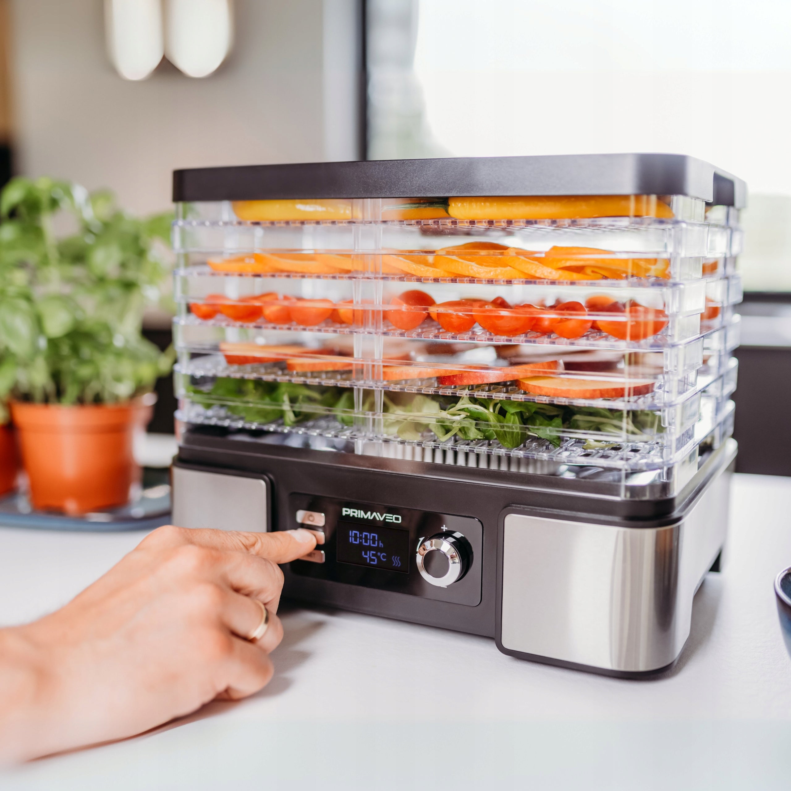 Mushroom Dryer Food Fruit Quick Drying Timer Led Smart 10in1 Manufacturer code SUSZARKA DO GRZYBÓW REGULACJA MOCNA SUSZENIE