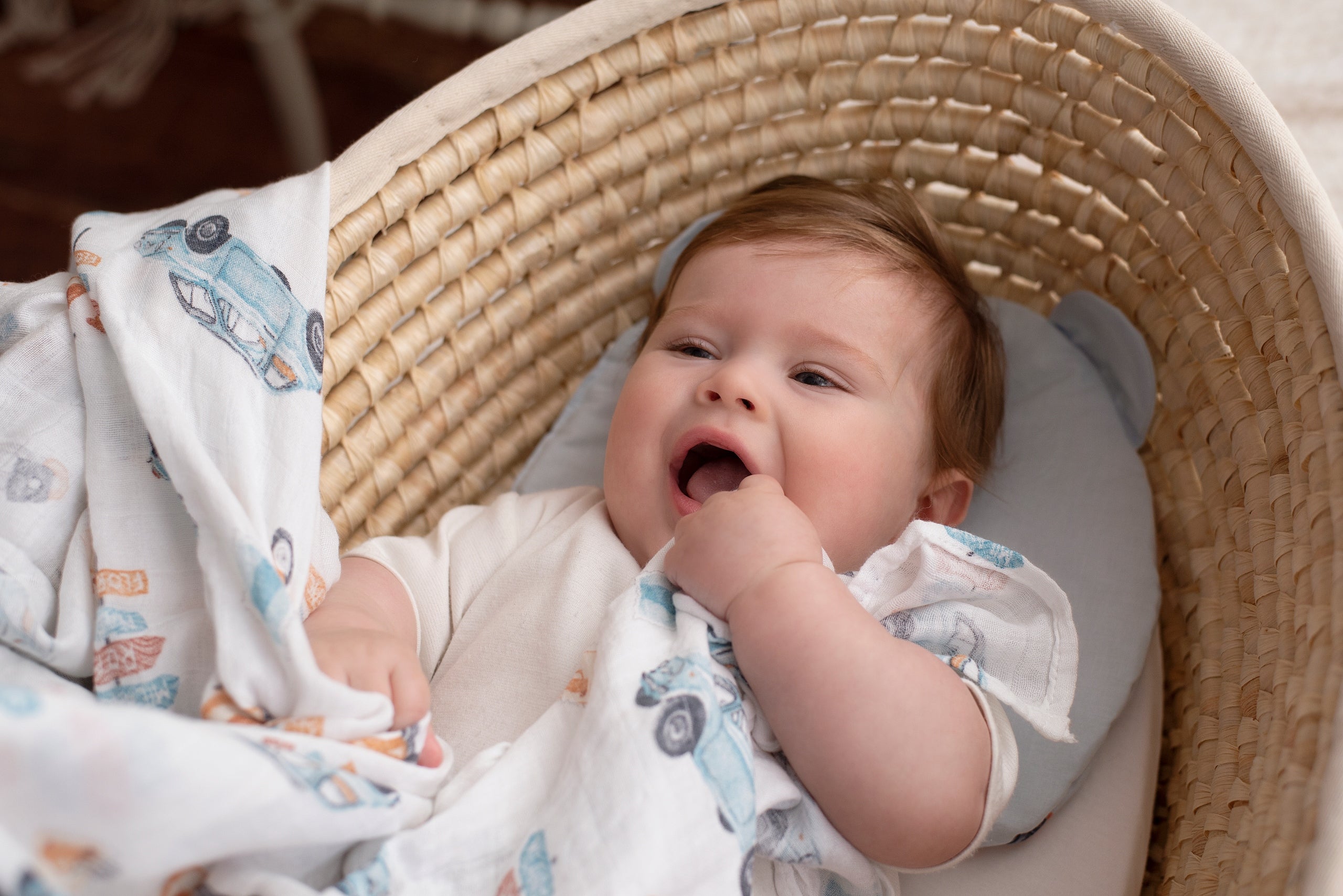 Muslin Diaper EKO bamboo swaddle 120x120 HYDRANGEA from the manufacturer EAN (GTIN) 5903636123035