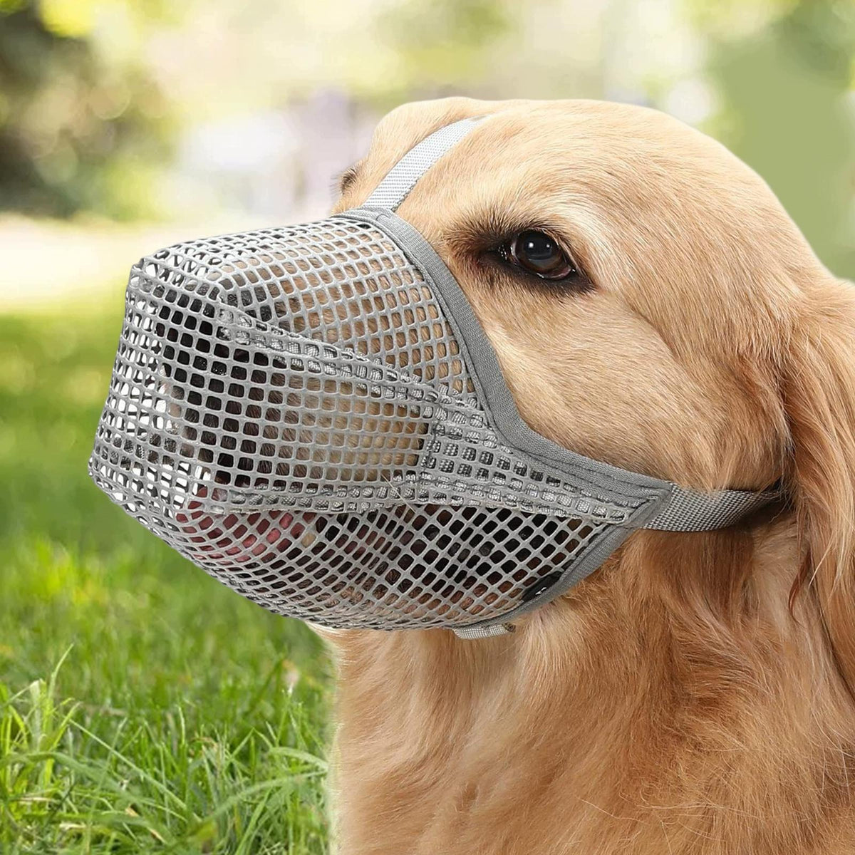 Muzzle for Dog, Breathable Portable Prevent Biting Chewing Gray Small