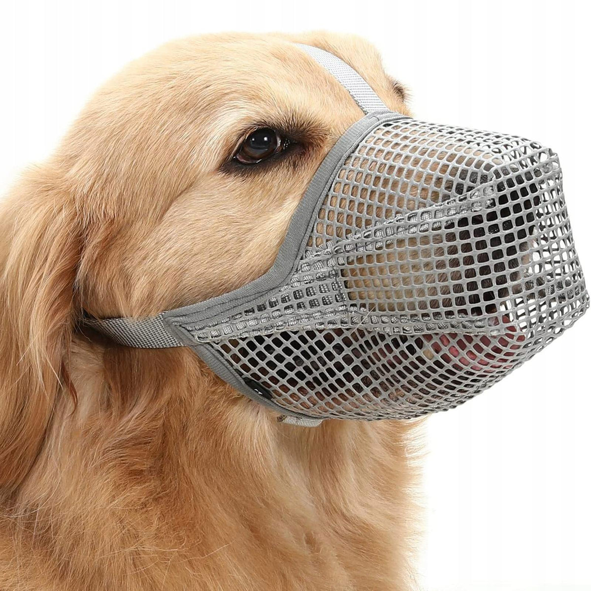 Muzzle for Dog, Mesh Cover Cover Breathable Comfortable No Chewing Gray XS