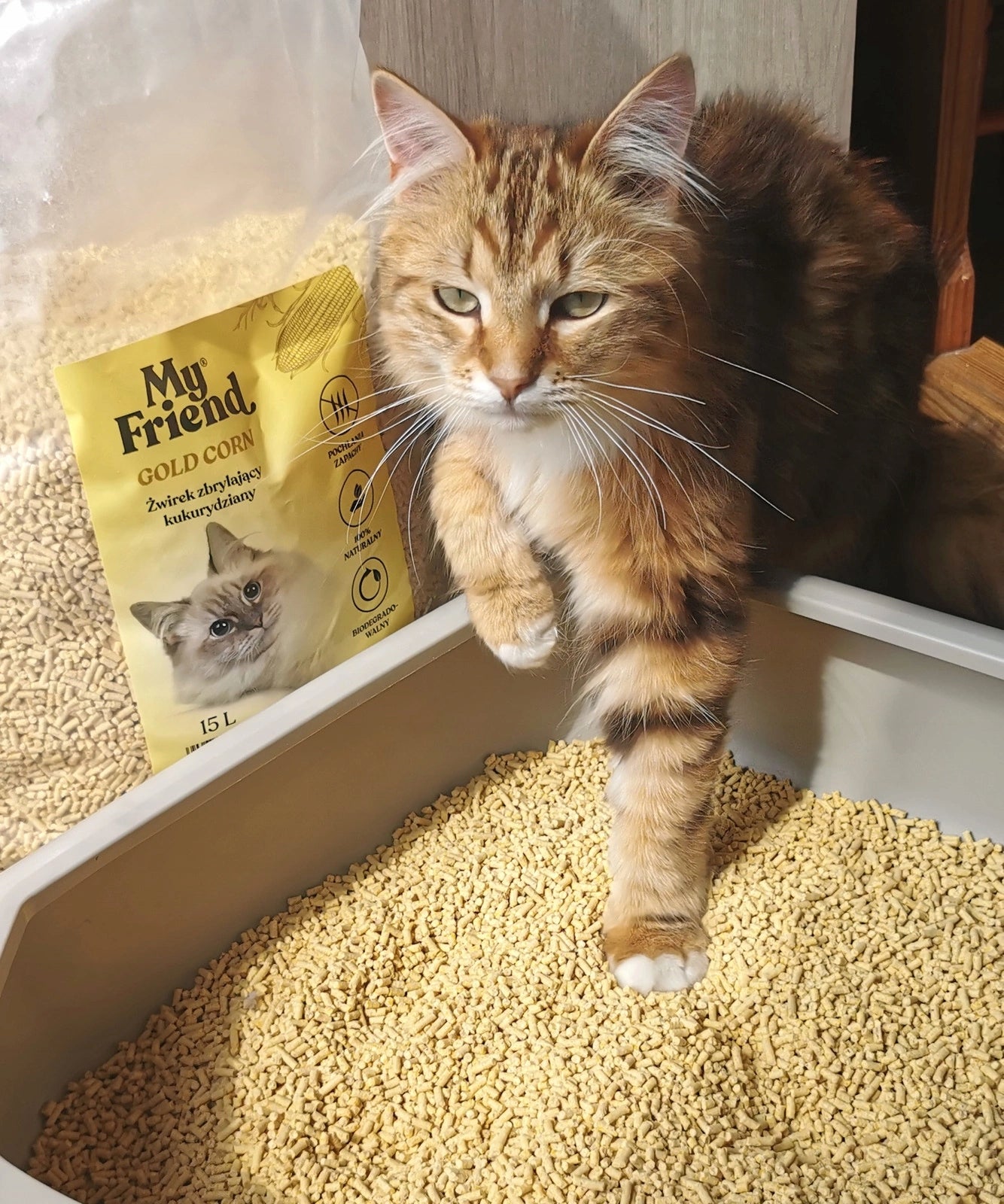 My Friend Gold Corn 7l /4,5kg clumping corn litter for cat Volume 7 l