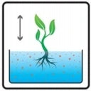 Mycorrhiza mycelium for blueberries Rhodovit Symbiom 100g Kind Mycorrhiza for Heather Plants