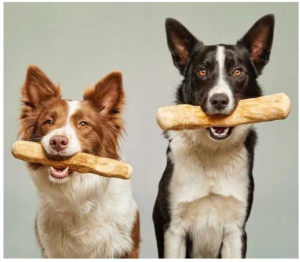 NATURAL DOG TEETHER OLIVE WOOD STICK WITHOUT SPLINTERS SMALL S Packaging status original