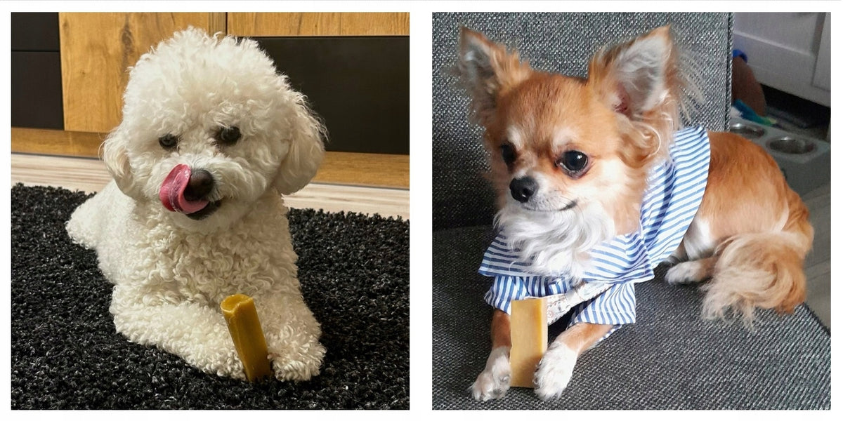 NATURAL TEETHER TREAT HIMALAYAN CHEESE SAFE FOR SMALL DOG PSOWO S Manufacturer code PS-SER-S