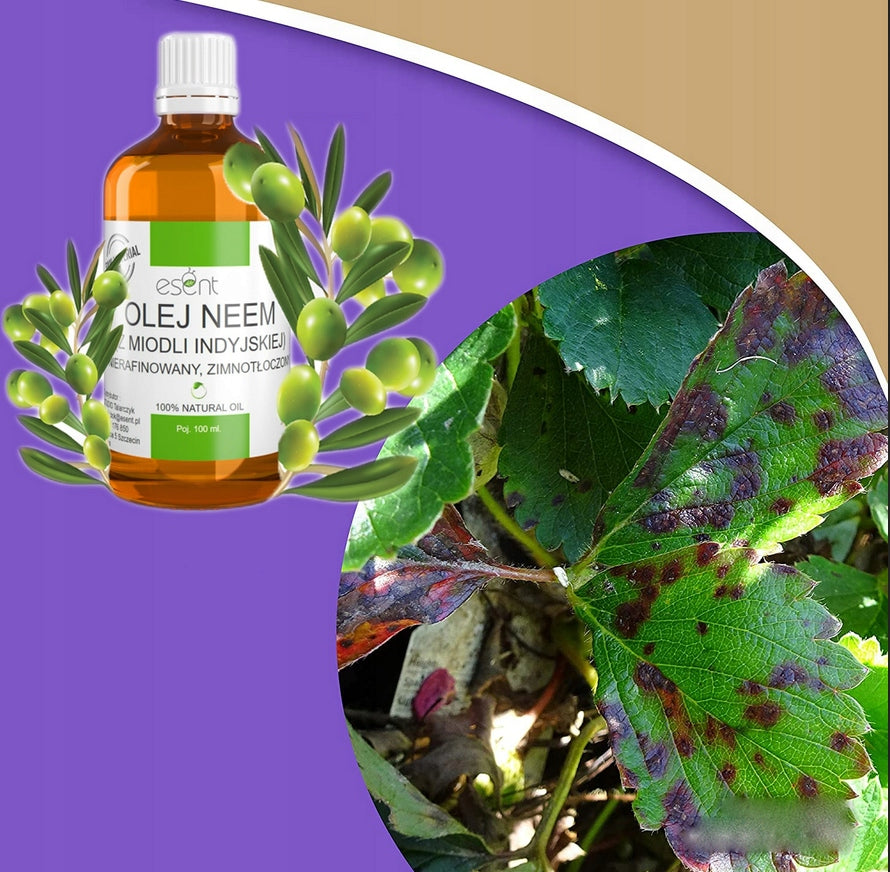 NEEM oil for plant flowers for pests for spider mites aphids earthworms Volume 100 l