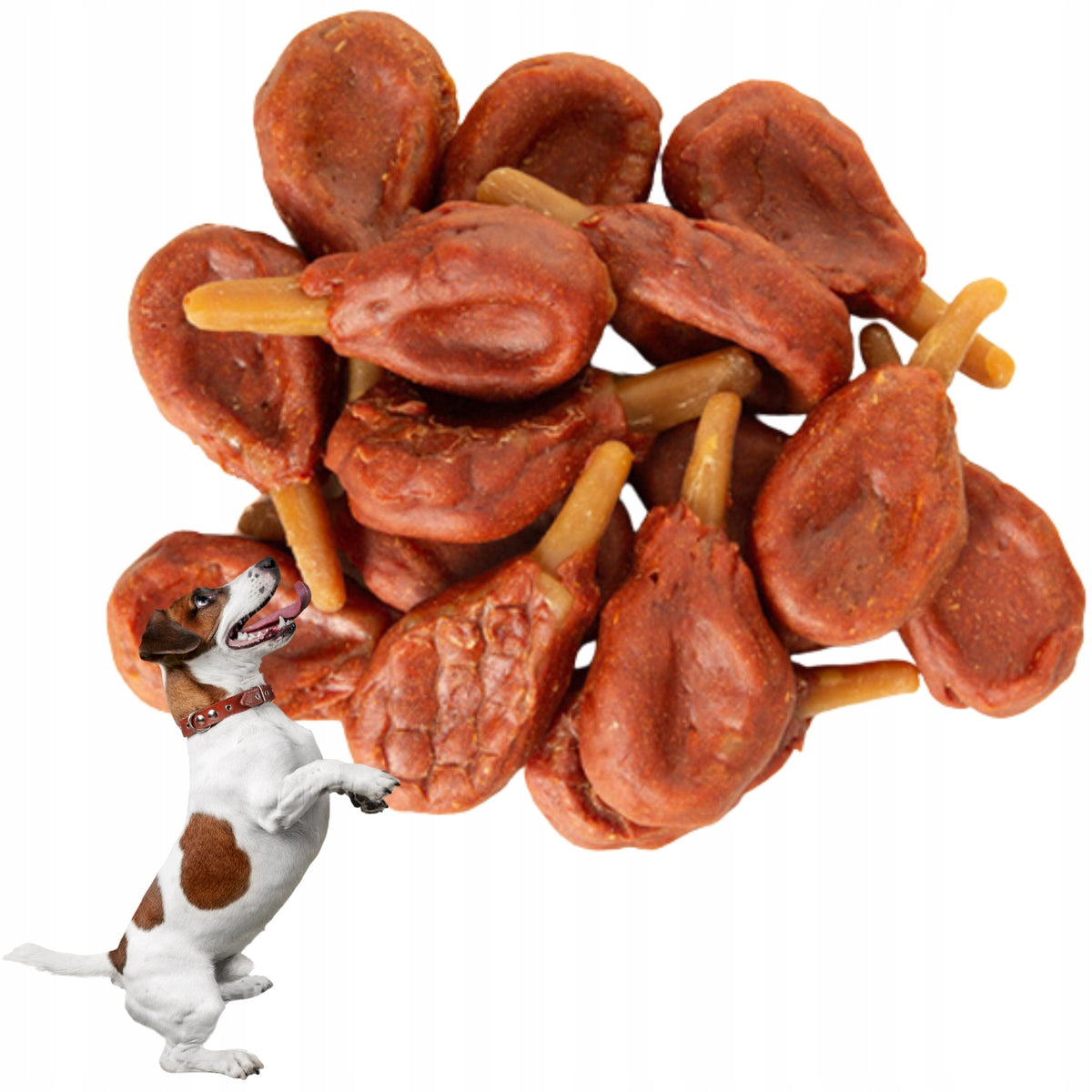 NEKKO DUCK THIGH DENTAL TREAT FOR DOG 500g