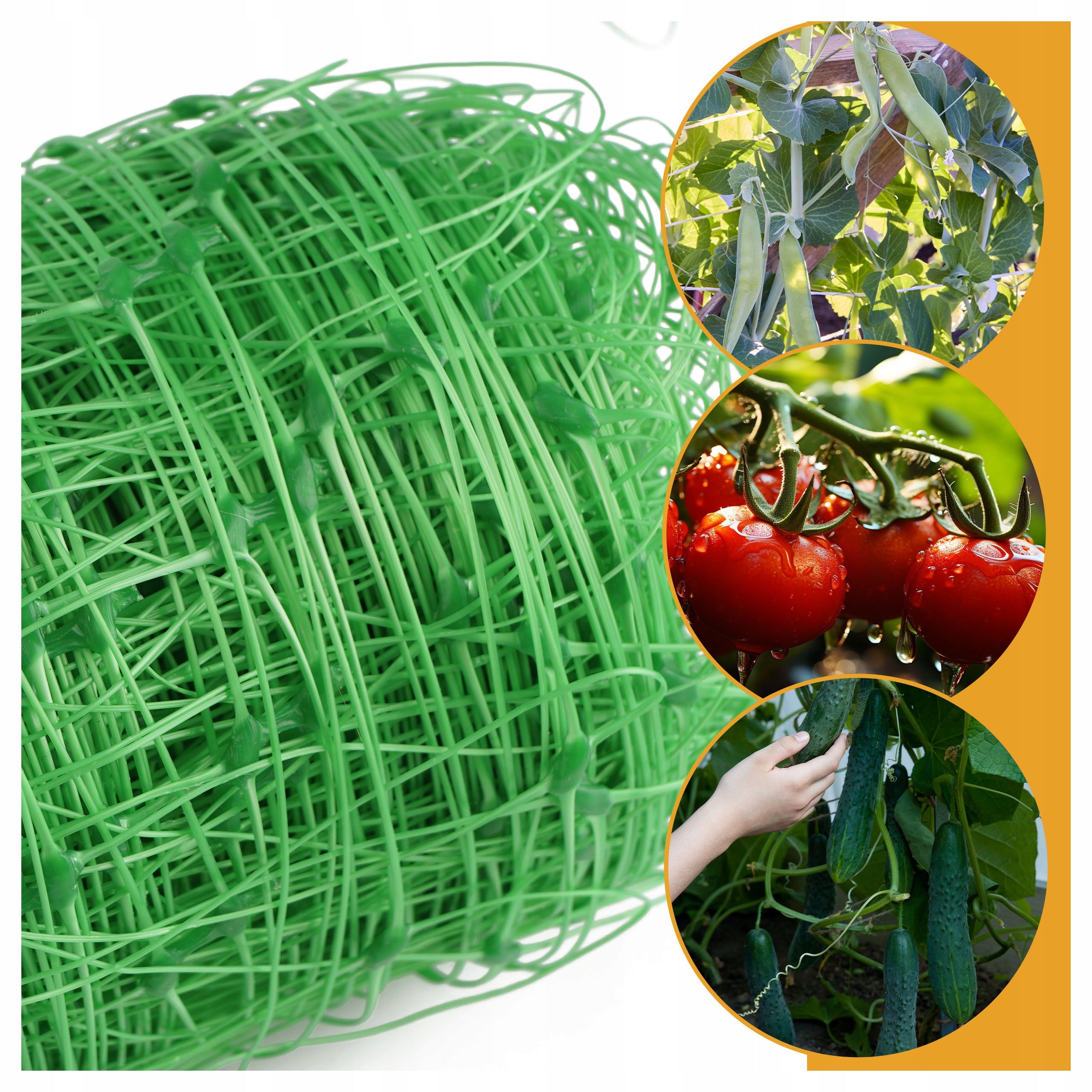 NET SUPPORT VEGETABLES CLIMBING PLANTS 2X10M 15X17CM 8G/M2 FOR SUPPORT Manufacturer Begris