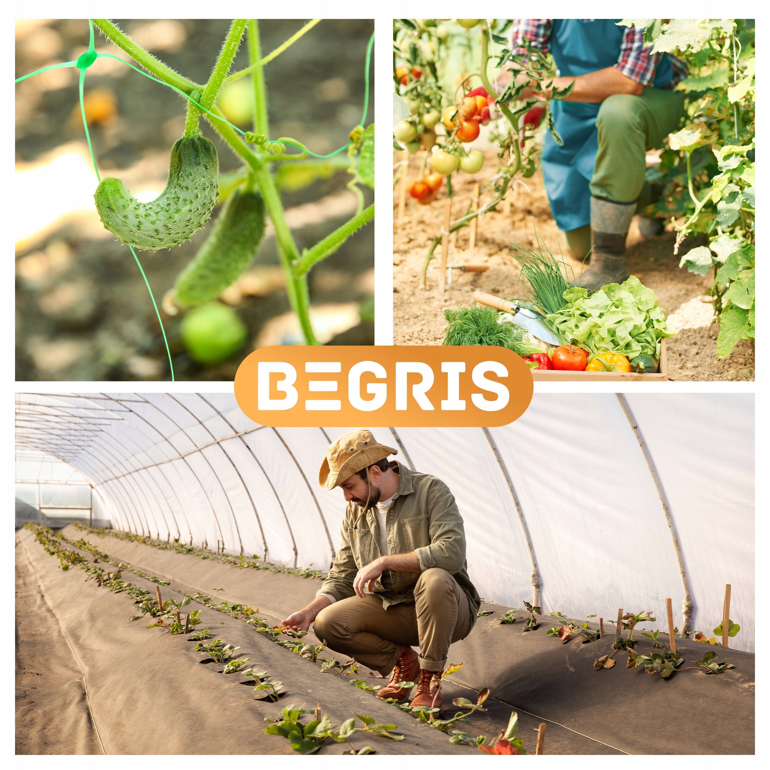 NET SUPPORT VEGETABLES CLIMBING PLANTS 2X10M 15X17CM 8G/M2 FOR SUPPORT Mesh material PVC coated