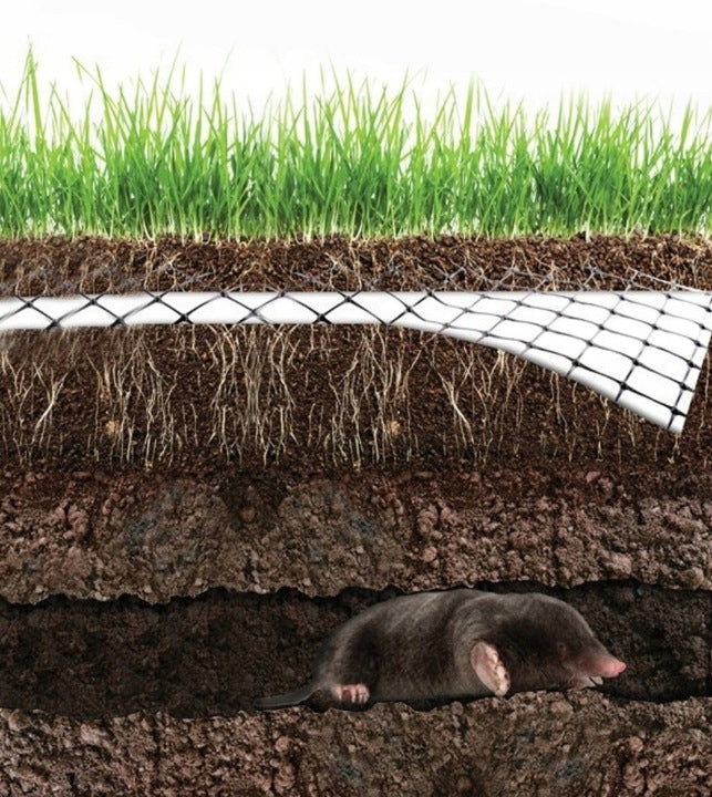 NETTING FOR MOLES VOLES strong BARRIER AGAINST MOLES repellent 1x50m 25g Kind mesh
