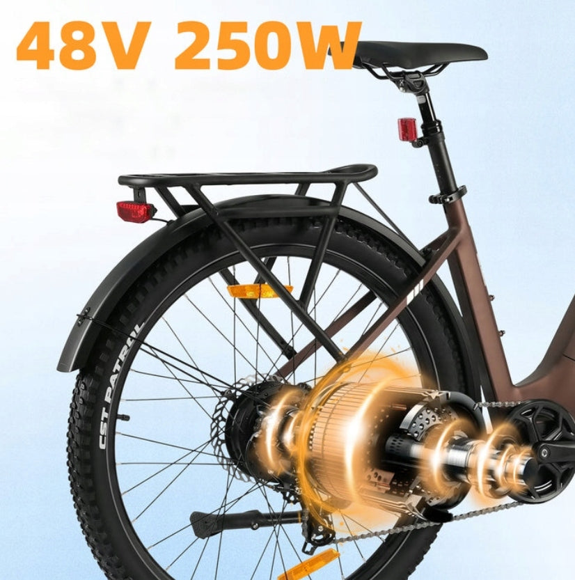 NEW Women's/Men's Electric Bike TTGO Z3 250W 48V15Ah 120HP 27.5" E-bike Model TTGO Z3 250W 48V15Ah 120KM 27.5" E-bike