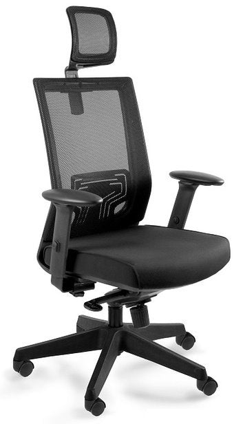 NEZ BL418 swivel chair Unique office ergonomic chair