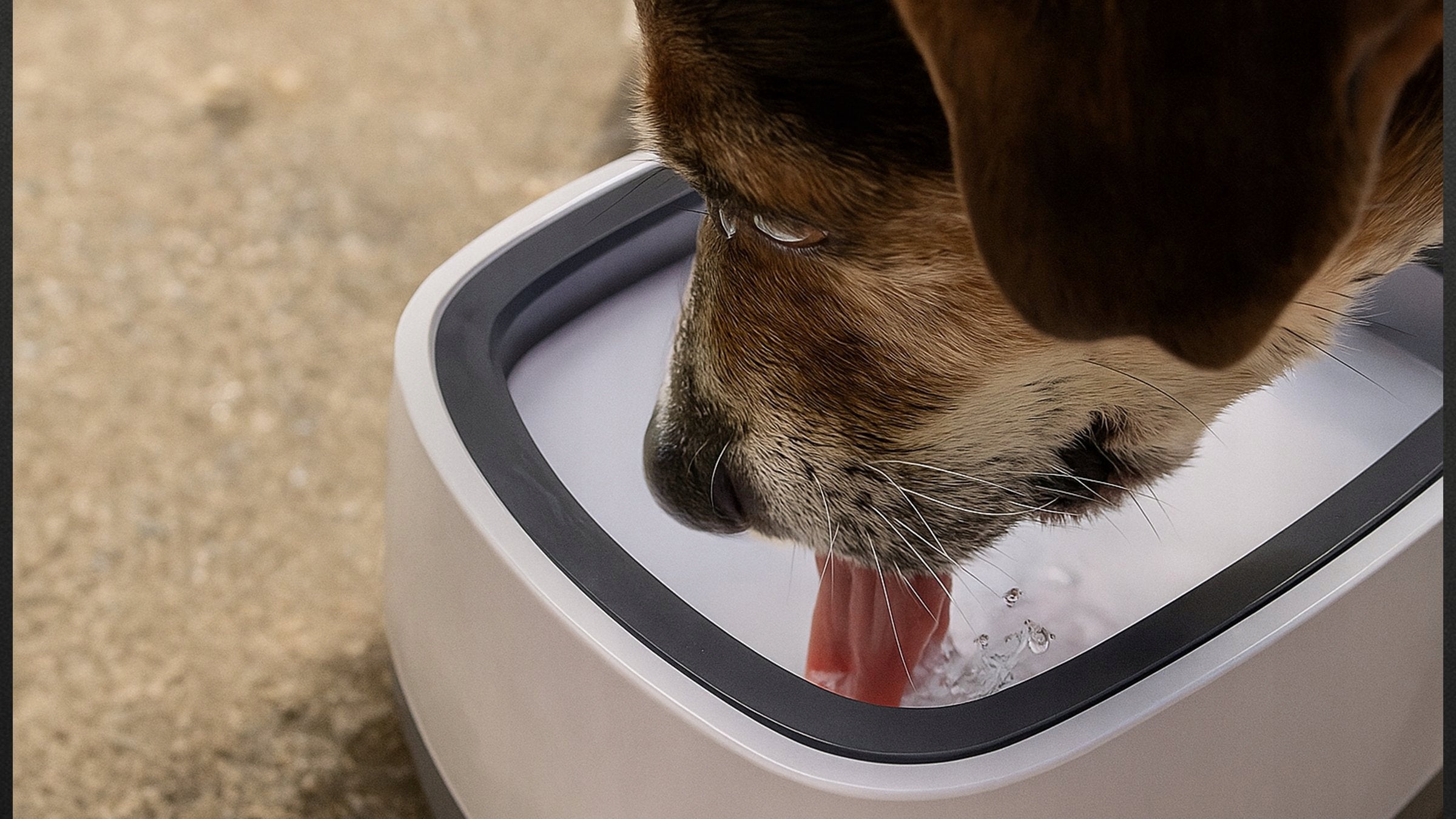 NON-SPILL CAT DOG WATER BOWL SLOWING DRINKING FLOATING LARGE Material made from a synthetic material