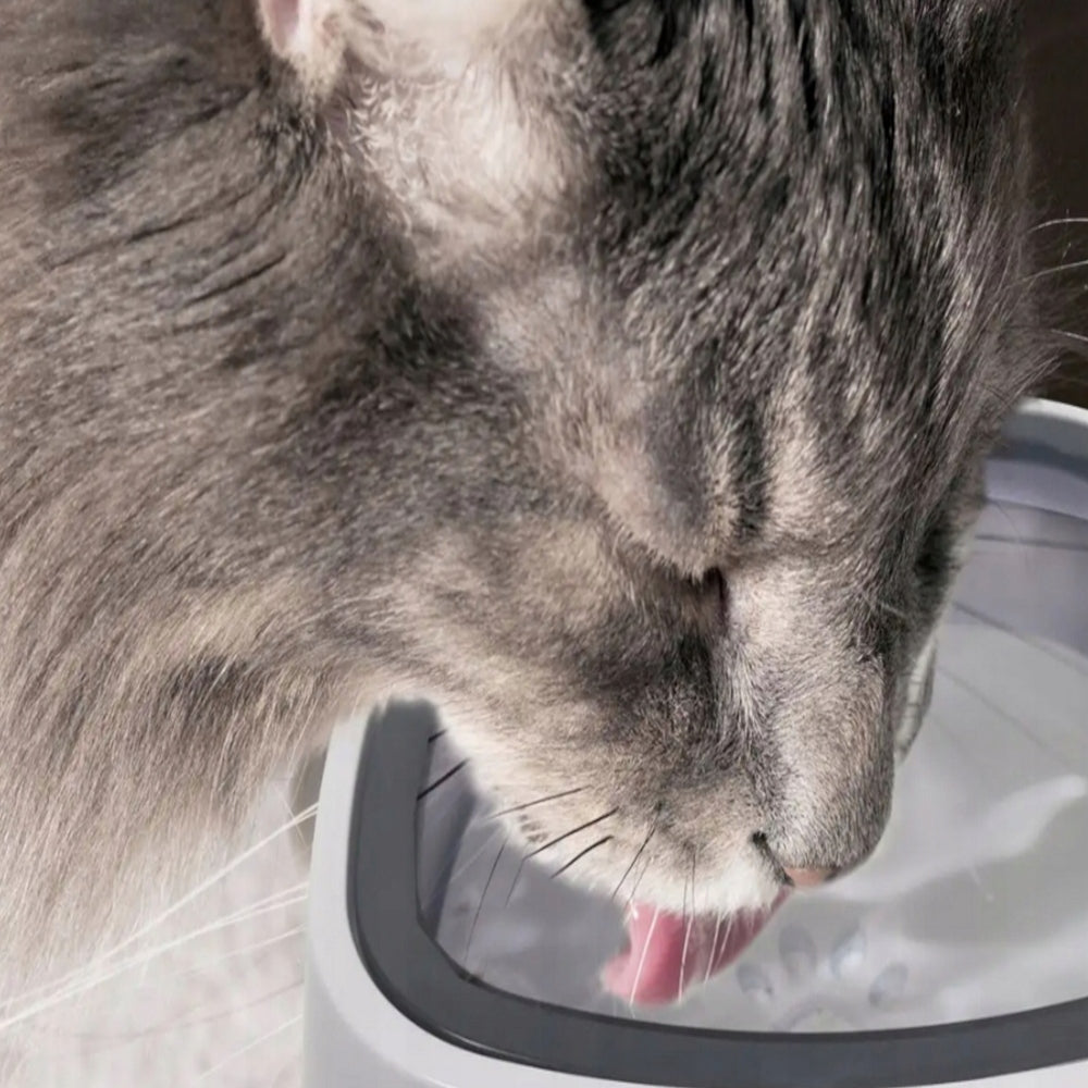 NON-SPILL WATER BOWL 1,5L SLOWING DRINKING FLOATING CAT DOG LARGE Trade name VELAN MISKA NIECHLAPIĄCA NA WODĘ SPOWALNIAJĄCA PICIE PŁYWAJĄCA PSA KOTA DUŻA 1,5L
