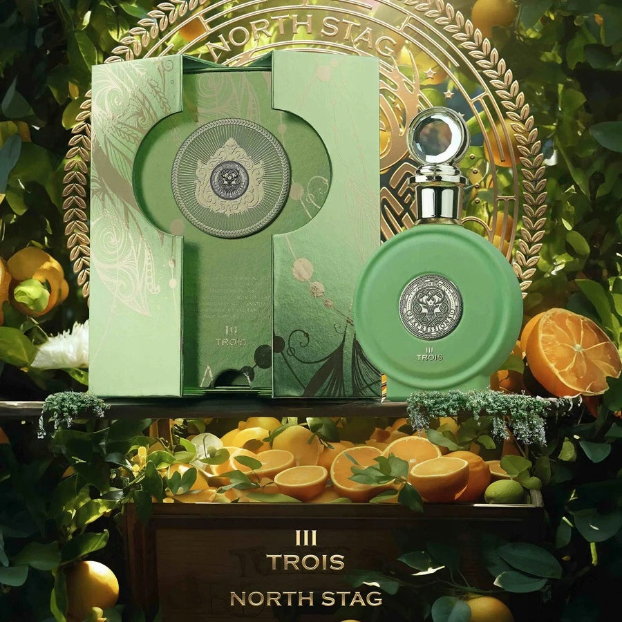 NORTH STAG Expressions III Trois unisex fragrance for women and men 100ml Brand Paris Corner
