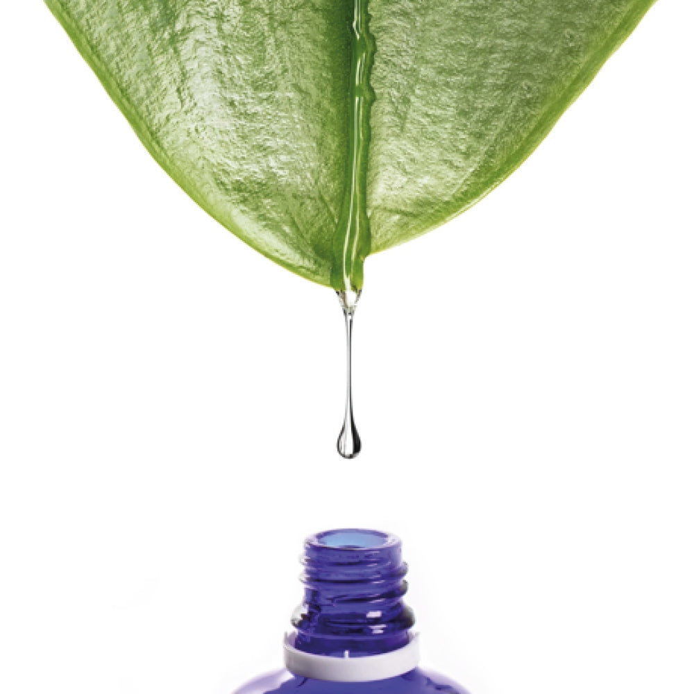 NUION Boron, supplement in drops STRONG BONES boric acid, anti-inflammatory Brand Puromedica