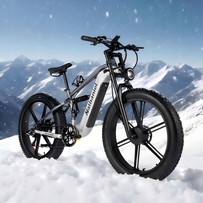 Nathaniel SYR09 Dual-motor 26*4.0 integrated wheel 48V 20Ah 55km/h Brand no brand