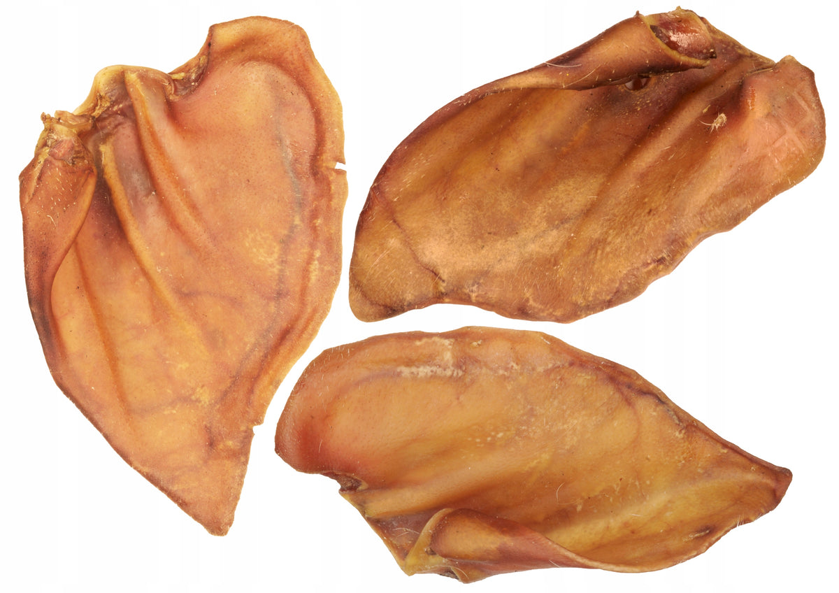 Natural Dog Teethers Dried Pork Ear Premium 20 Pcs Animal Food