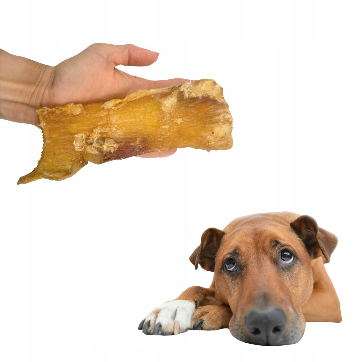 Natural Dog Teethers Premium Beef Tendons for Dogs 200 g Animal Food Brand Animal Food