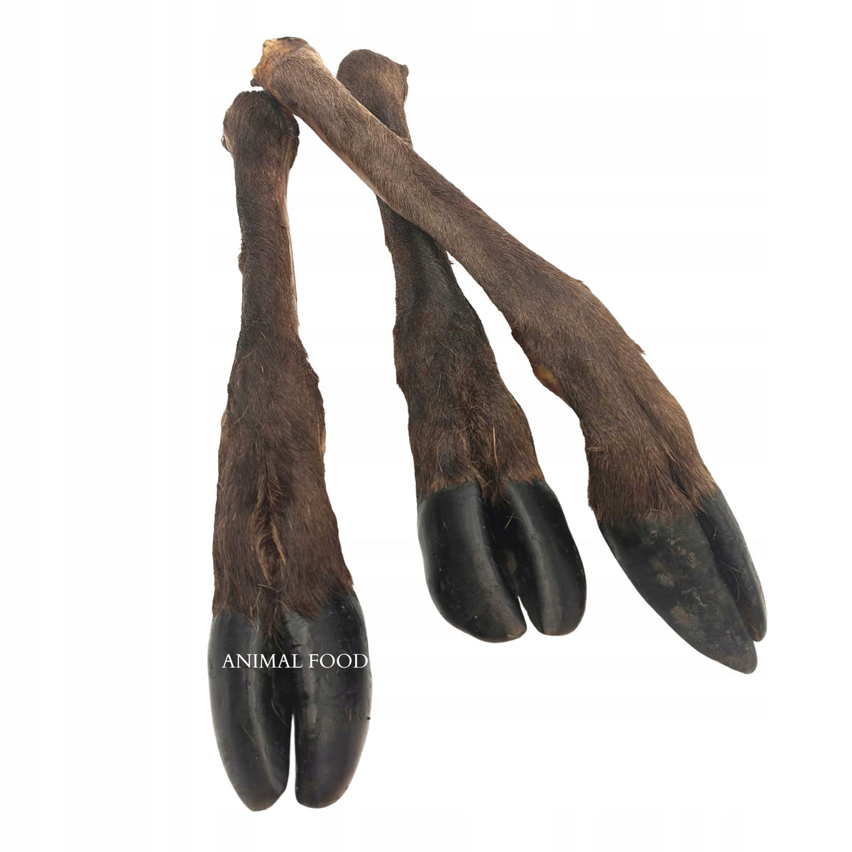 Natural Dog Teethers Treats Premium Racica Leg Deer 1pcs