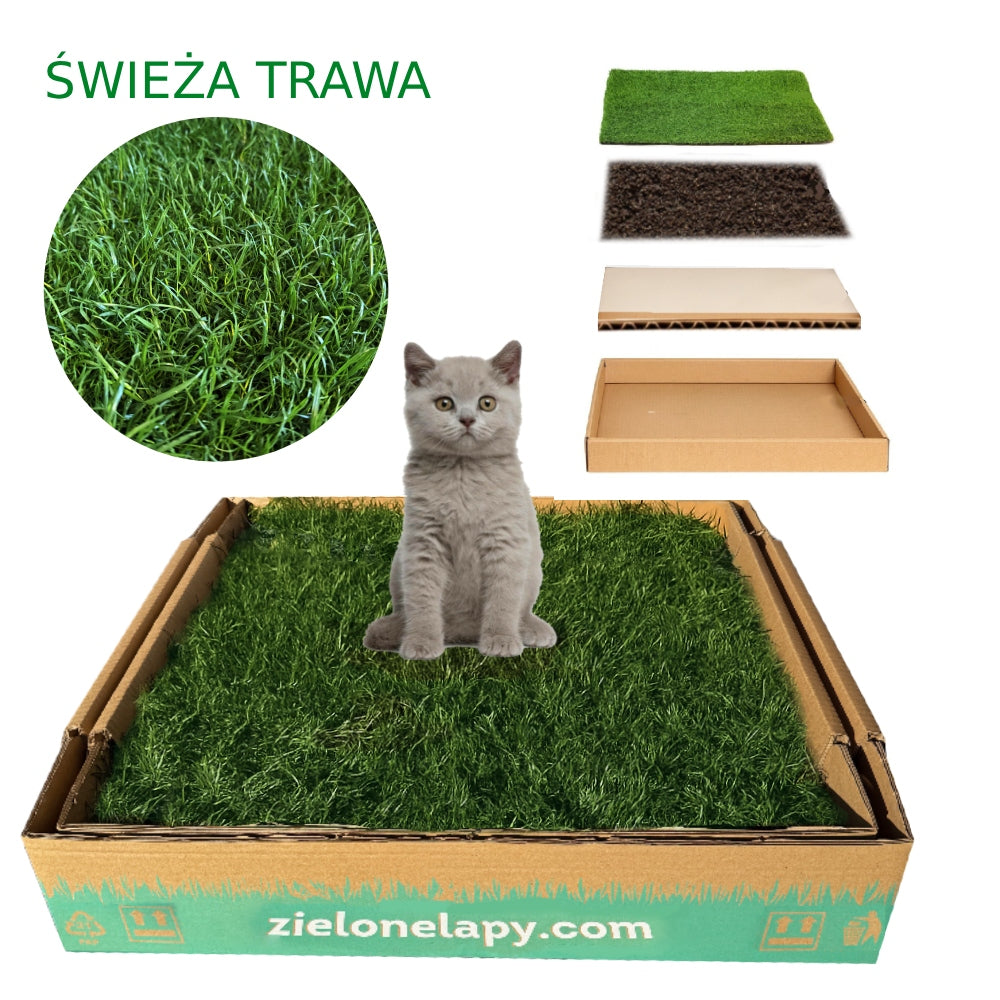 Natural Grass Cat Cuvette 50×50 cm Organic Toilet Manufacturer code 9658884