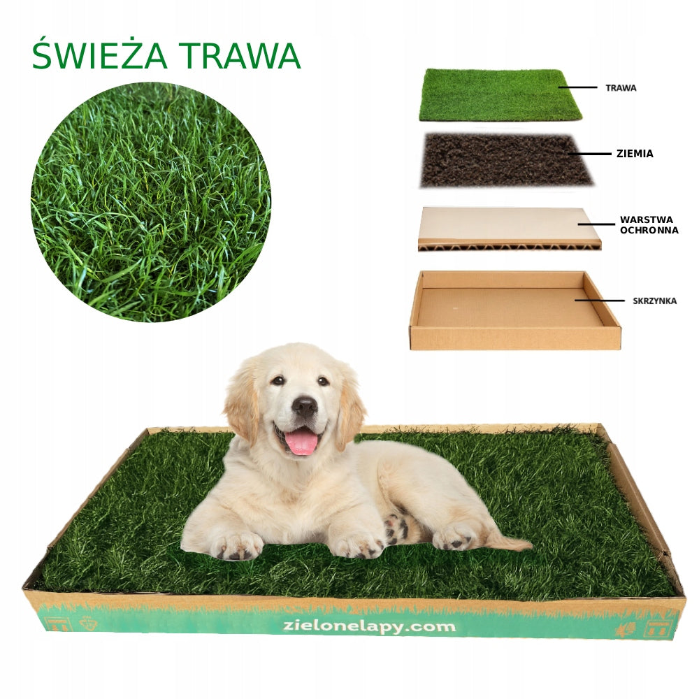 Natural Grass Dog Cuvette 100x50cm Toilet Brand no brand