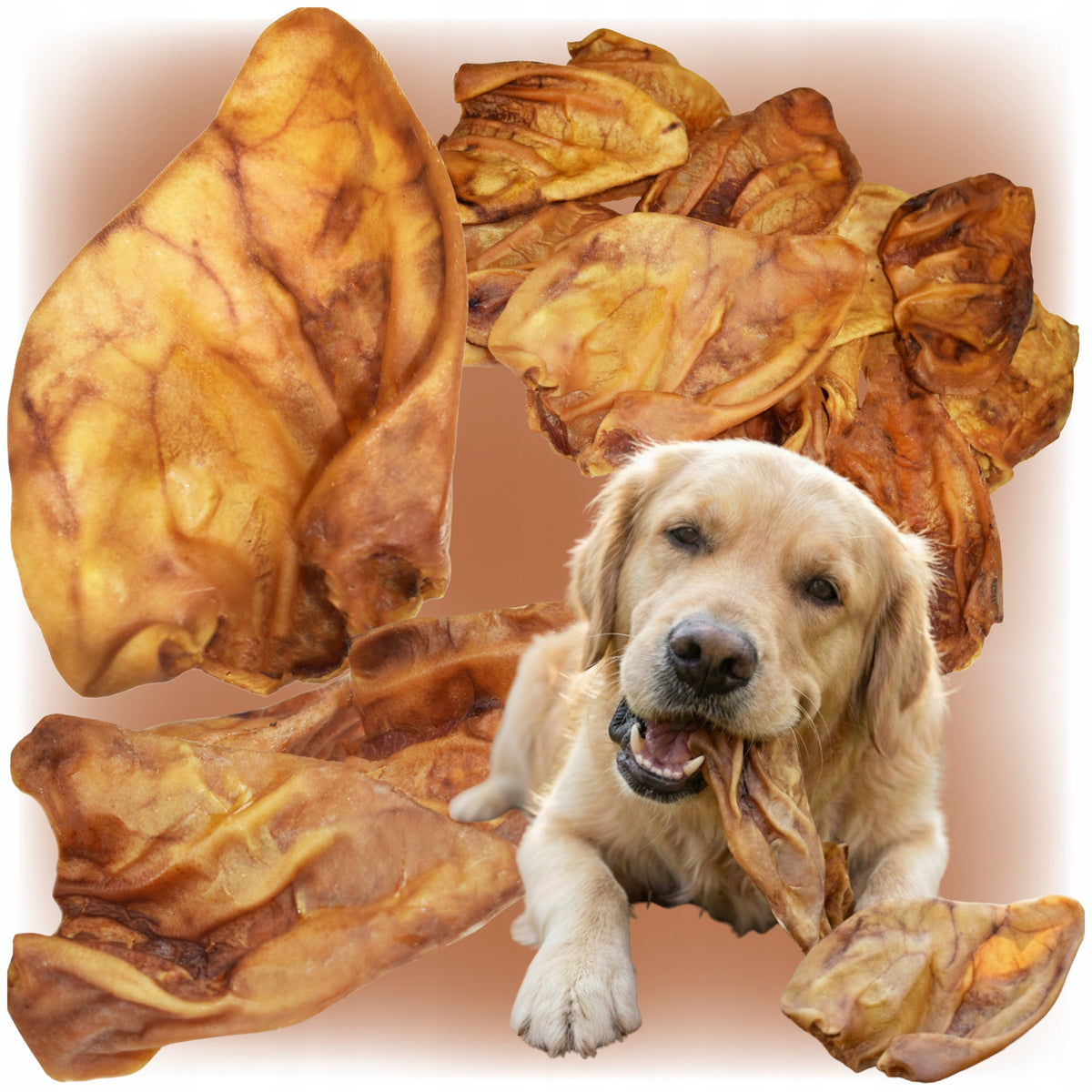 Natural Pork Ear Teether High Protein Dog Treat 6 Pcs