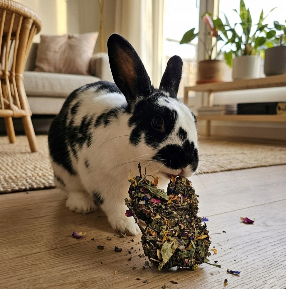 Natural bunny herbal cake for rabbits and rodents