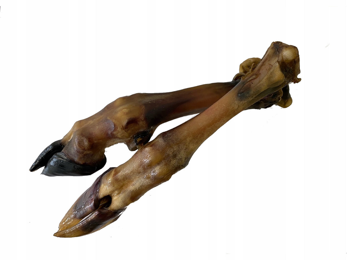 Natural teether, dog treat Racica Aries leg 1 pc Flavor lamb
