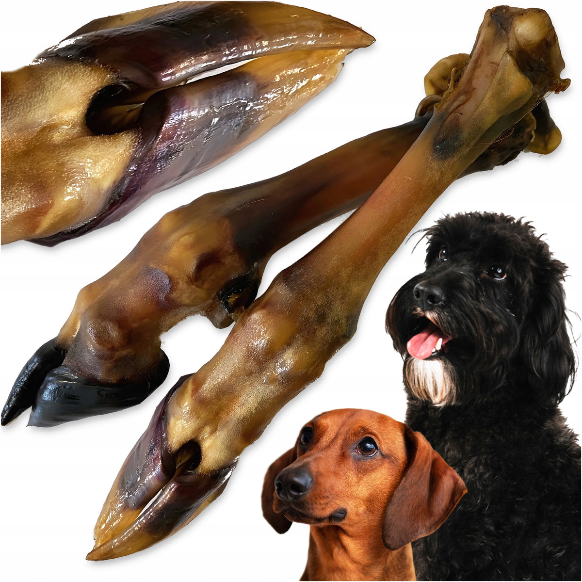 Natural teether, dog treat Racica Aries leg 1 pc
