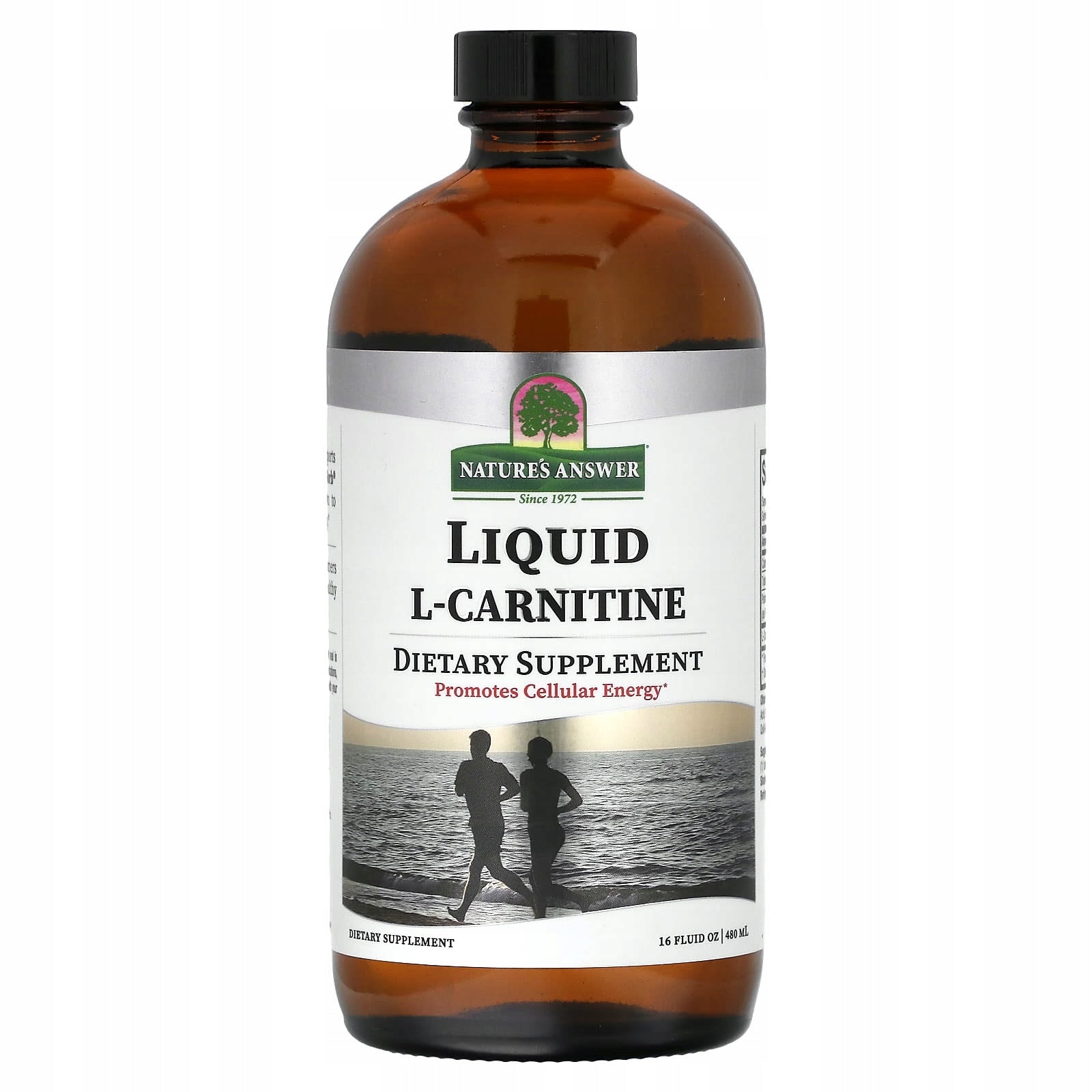 Nature's Answer, L-Carnitine Liquid, 480 ml